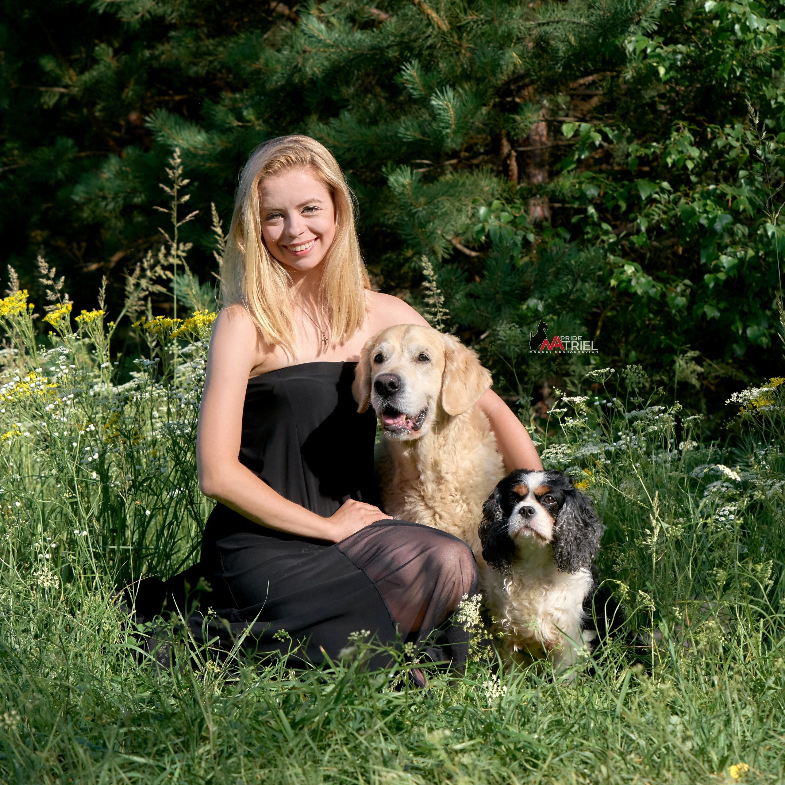 Собаки и Люди — галерея NATRIEL