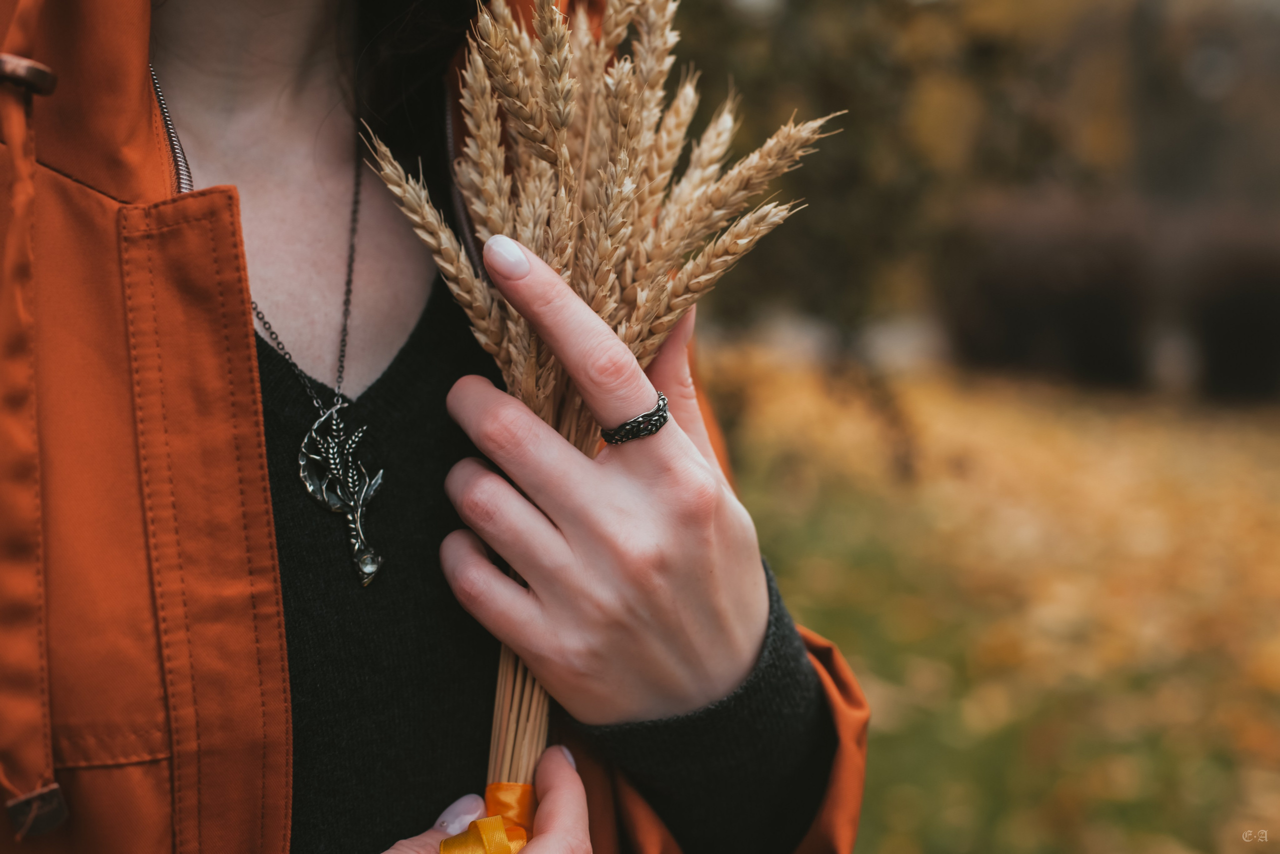 Осенние колосья для Белой Волчицы. Фотограф Ellairen