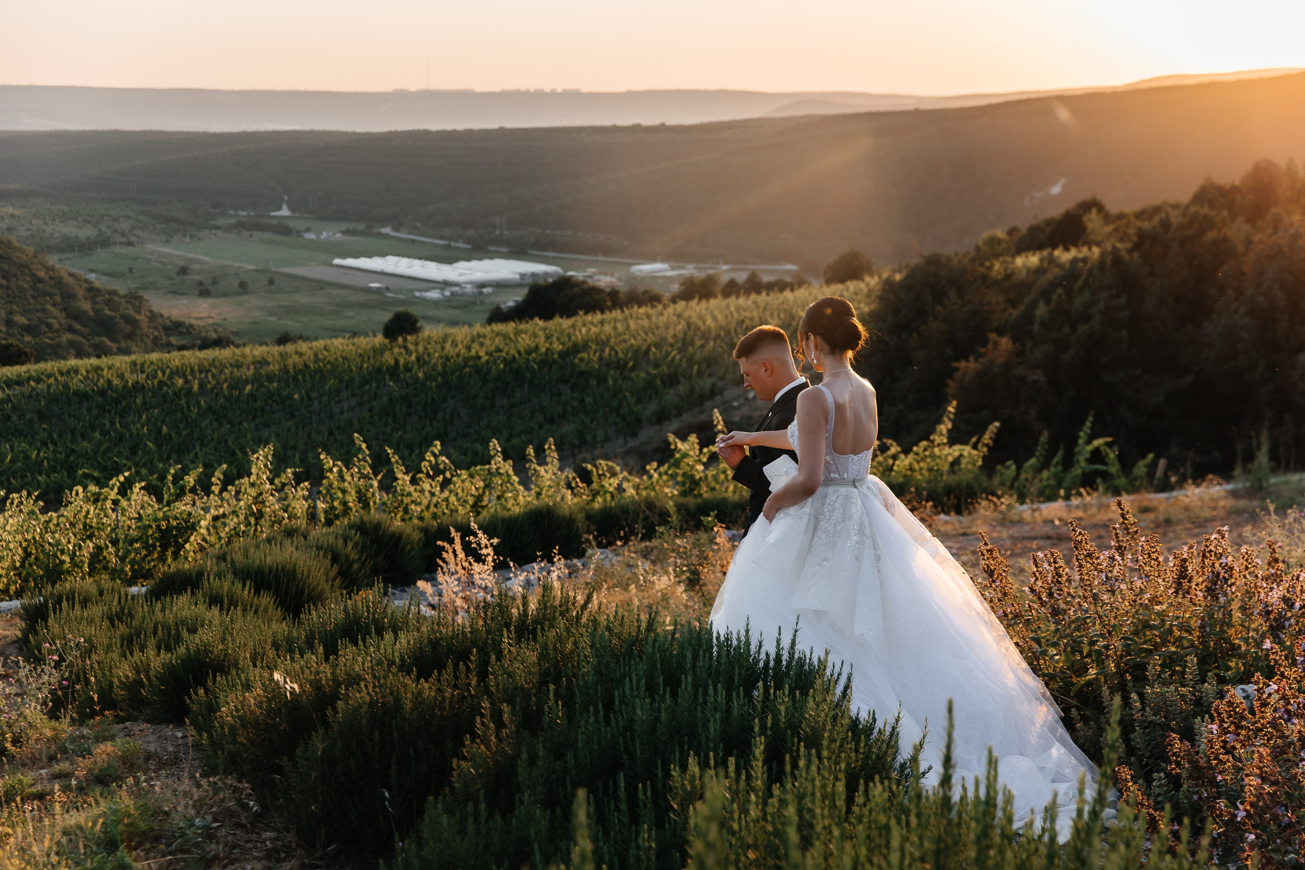 Свадьба на винодельне. Анонс для Ивана и Виктории. Свадебный фотограф в Крыму и Севастополе Ольга Баскакова