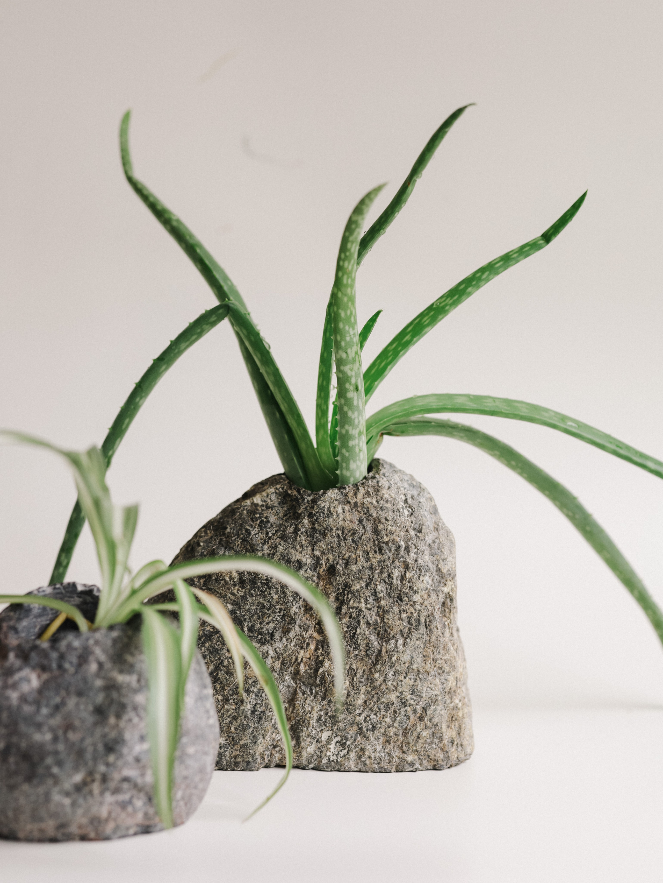 Подсвечники и салфетницы. Алёна Стерхова — Предметный и портретный фотограф. Ижевск