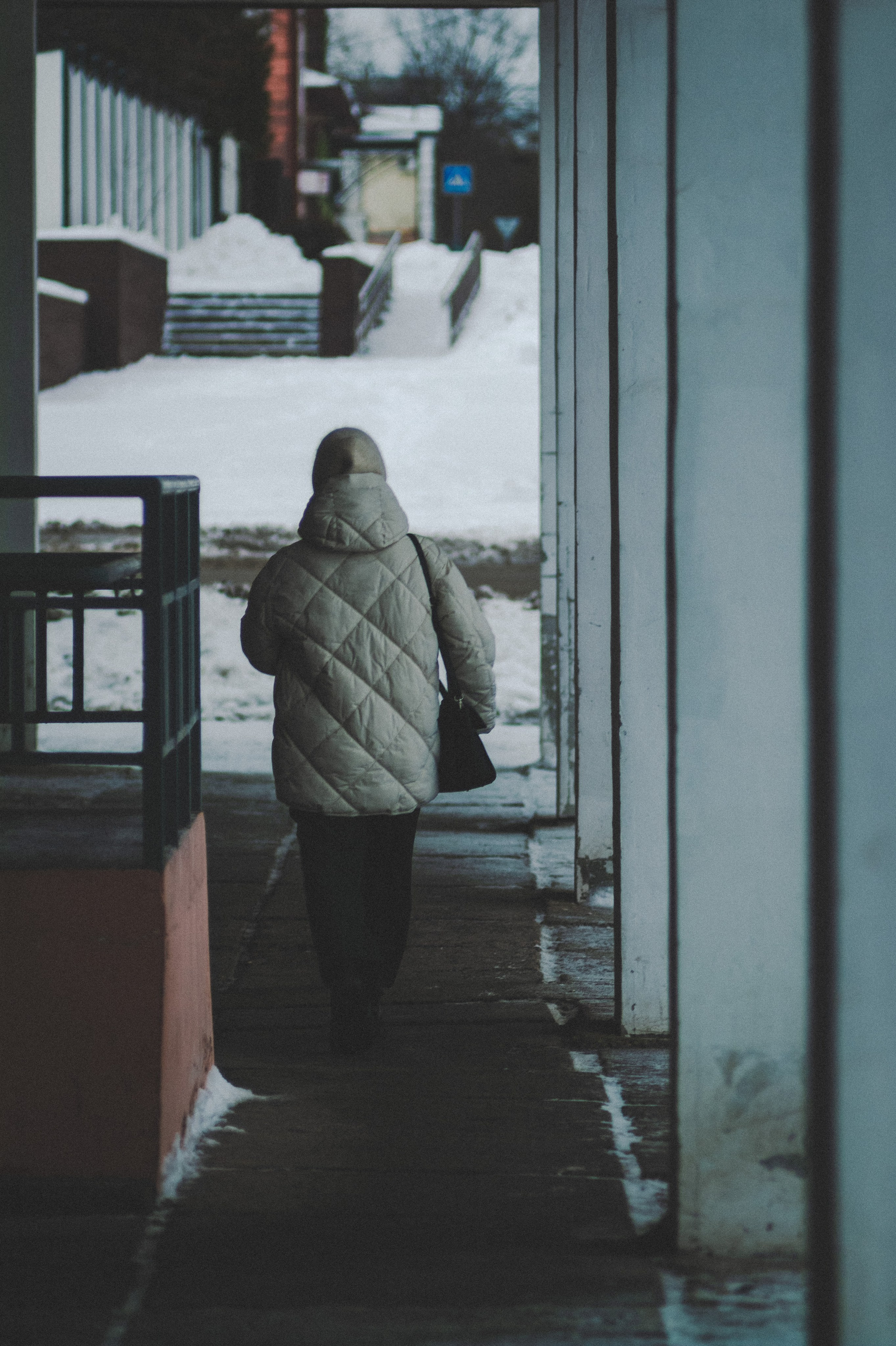 Colleague. Den Mirov — Photographer, Musician