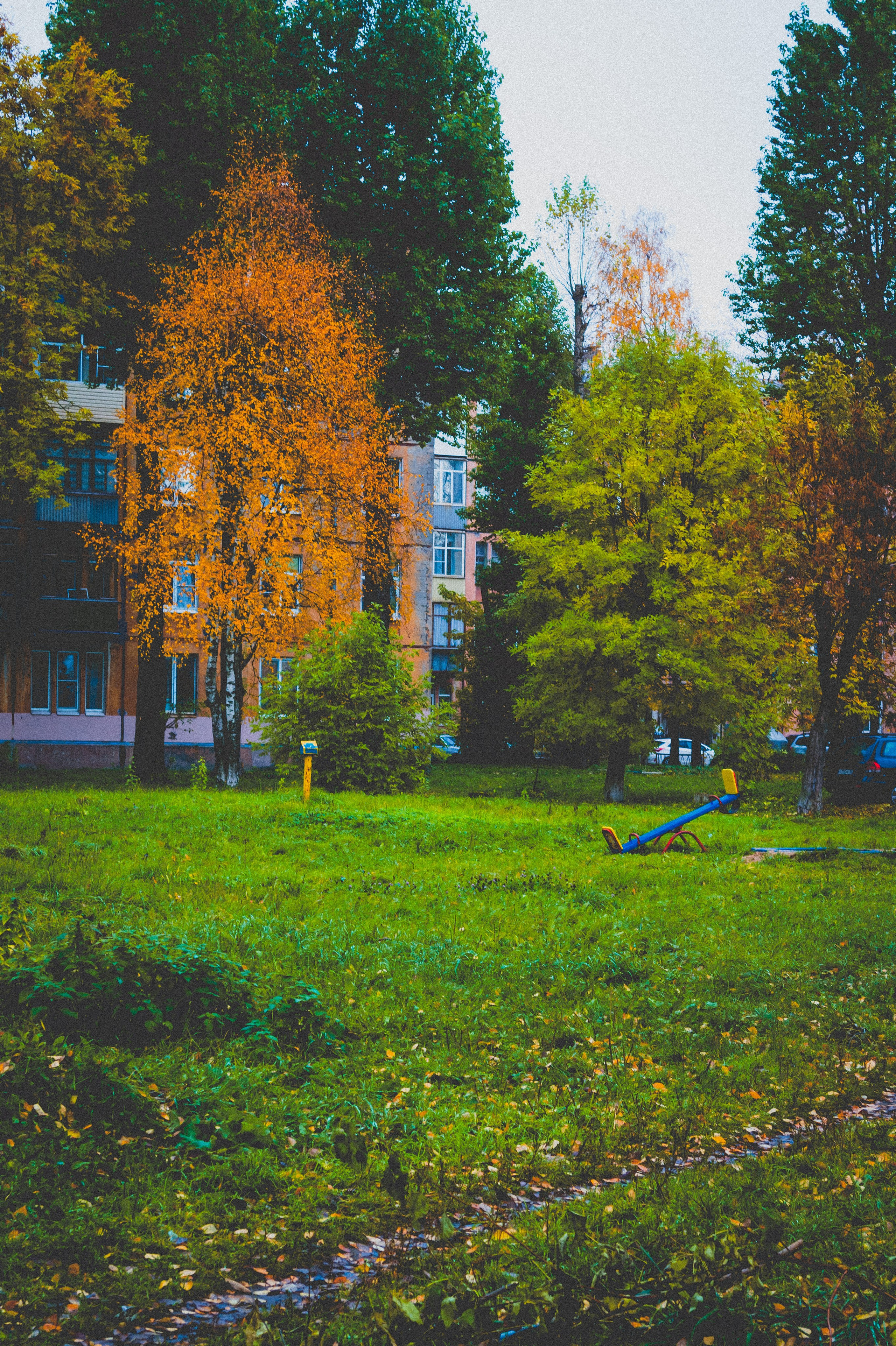 Октябрь 2025. Den Mirov — Фотограф, Музыкант