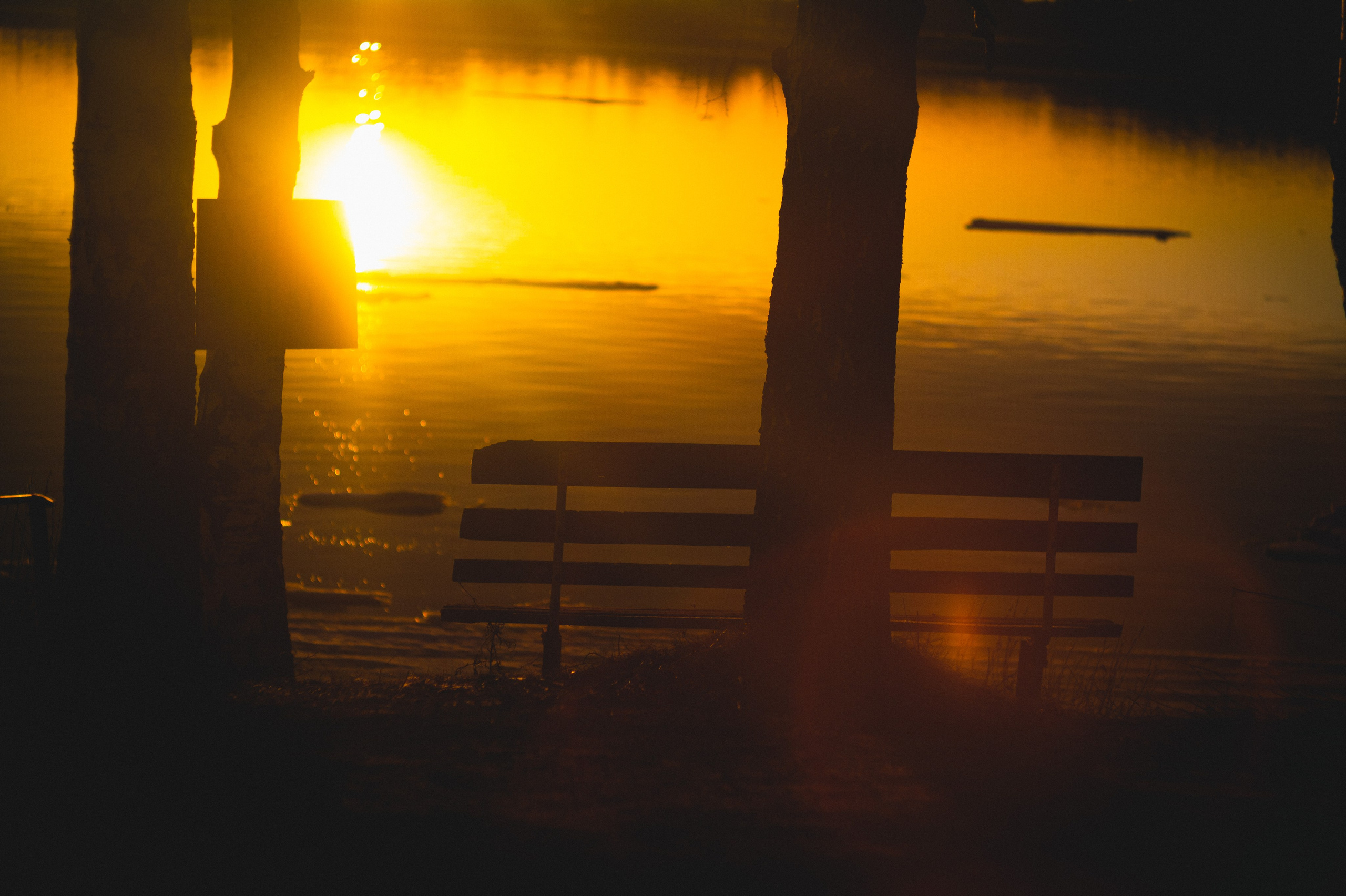 The Road to Truth. Den Mirov — Photographer, Musician