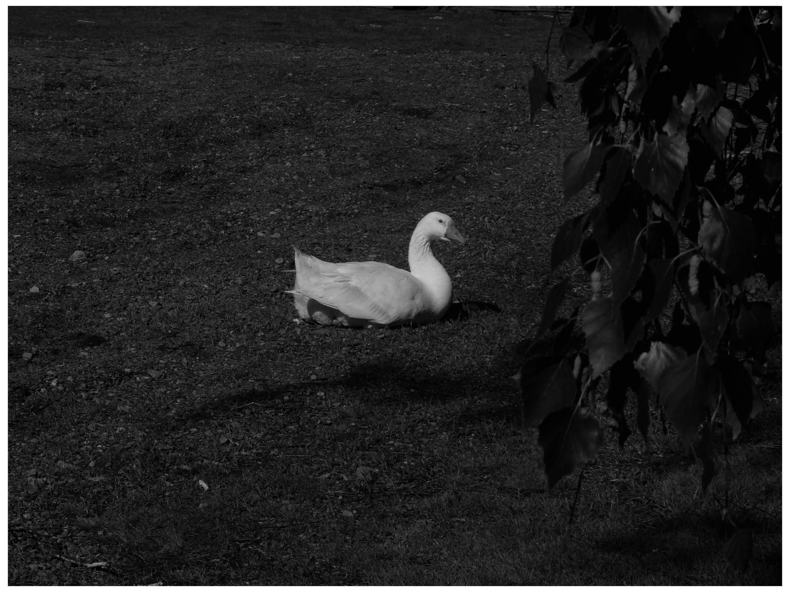 Промежуточные моменты (2022)