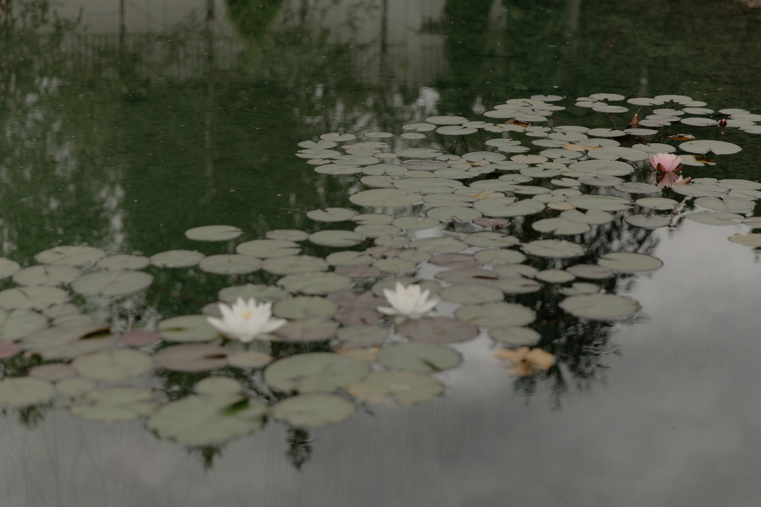 24.08.2024. RETOUCH-HOUSE