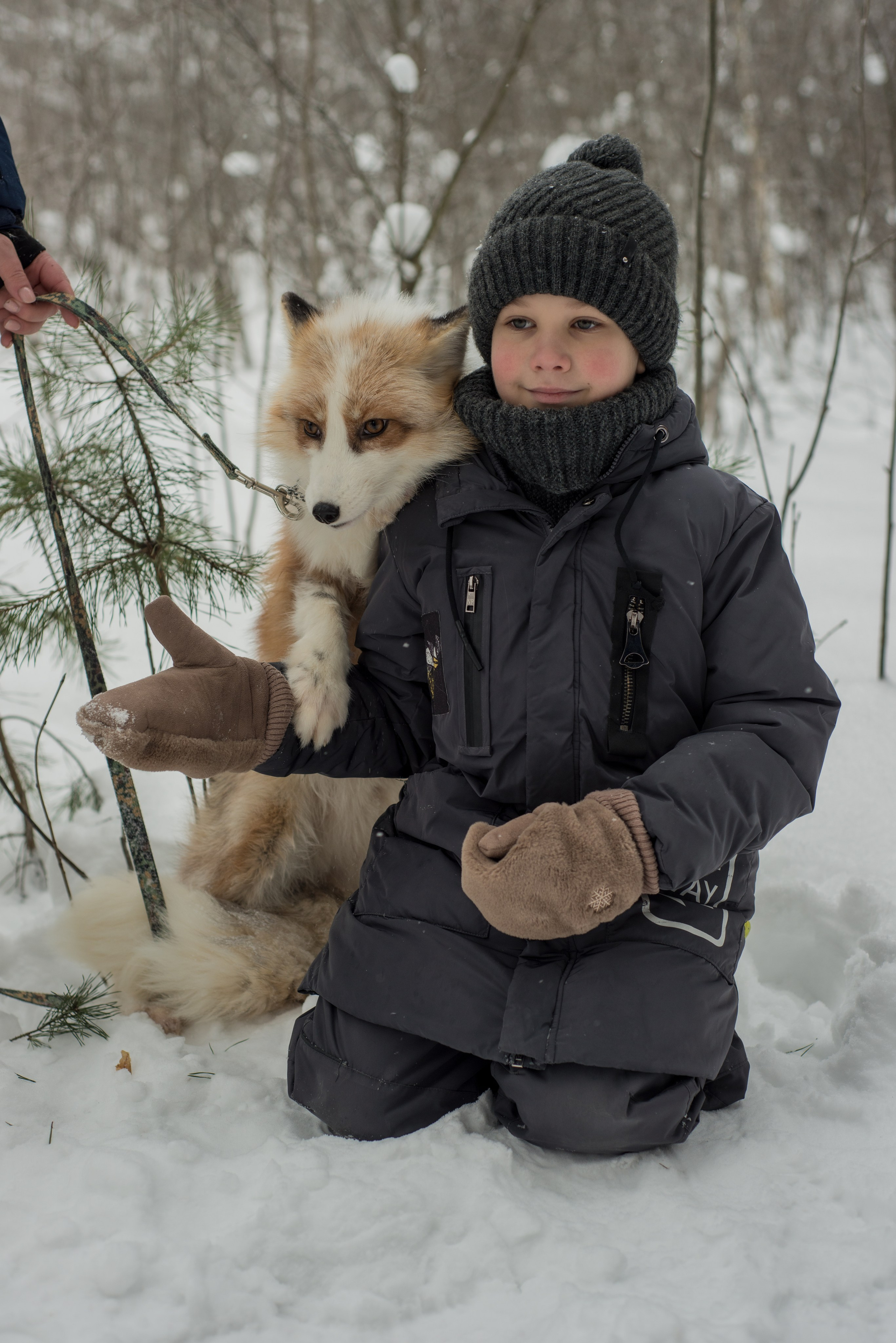 Дети и лис. Фотограф и дизайнер в Москве Екатерина Лобачева