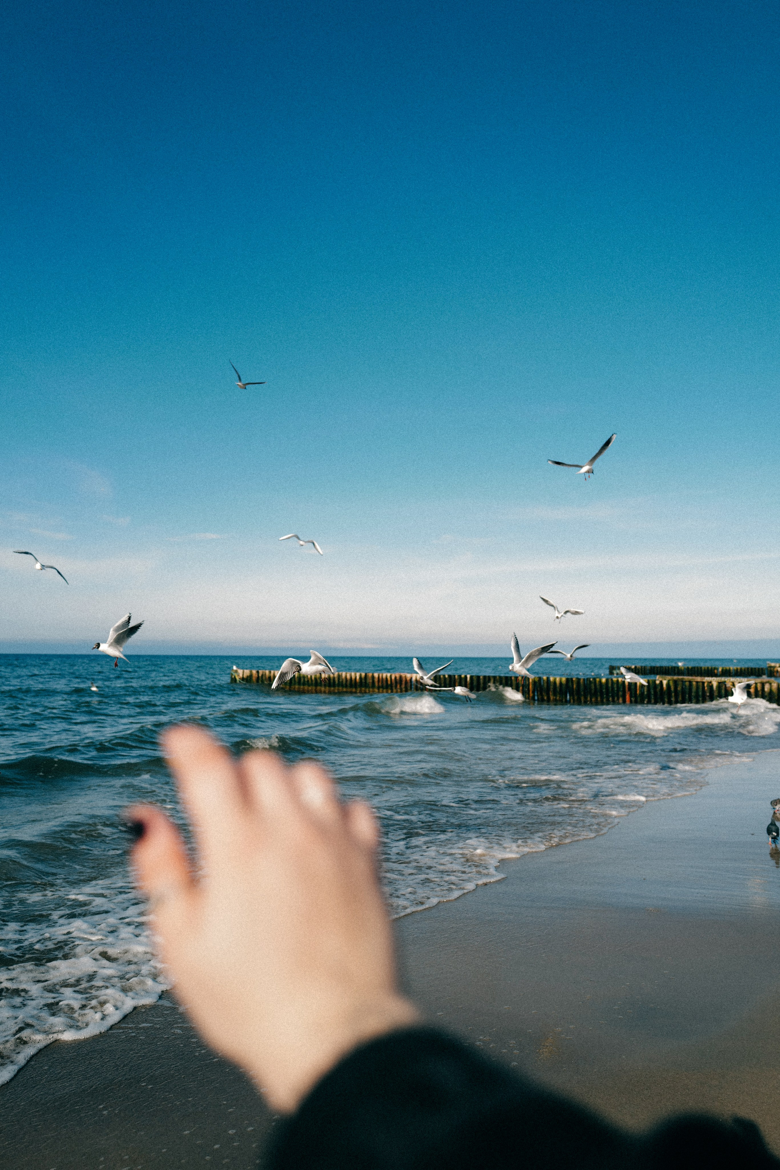 Zelenogradsk. Фотограф София Комкина