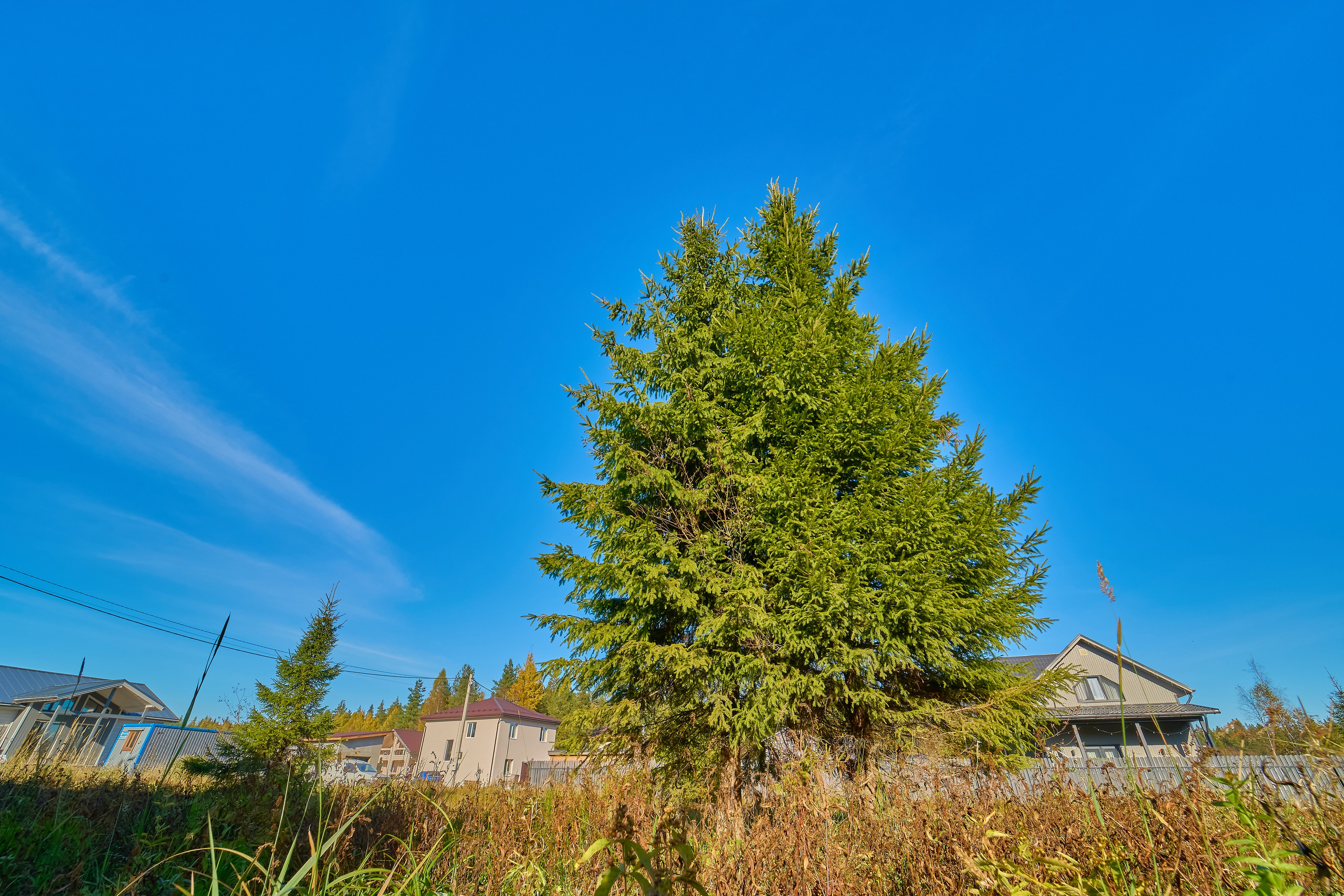 УЧАСТКИ. Интерьерный фотограф