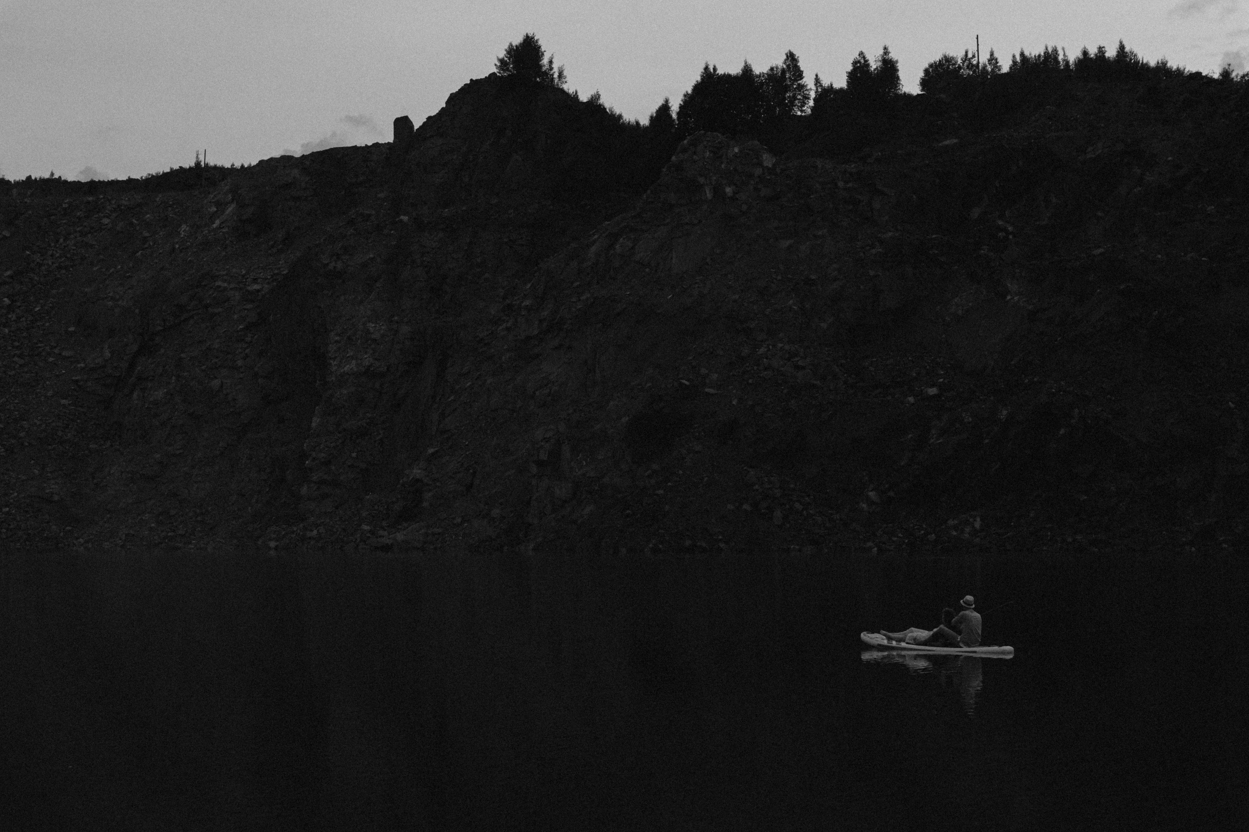 Fearless cats. Wed Photographers 📷 Saint Petersburg