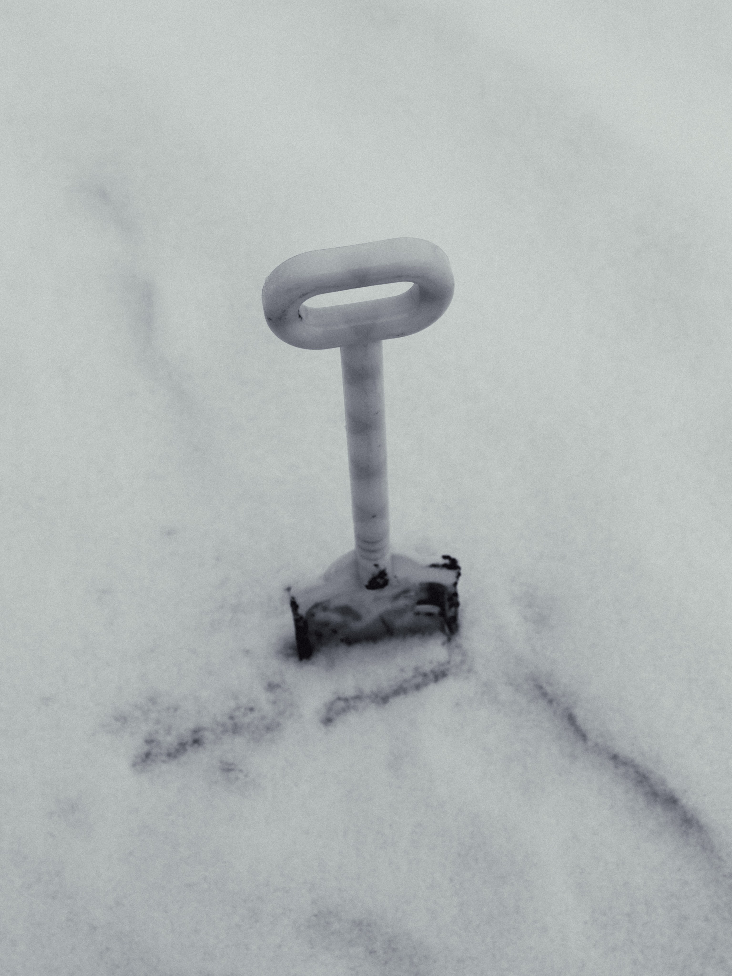 Маршрут ветеранов — электросила. Анна Мильч