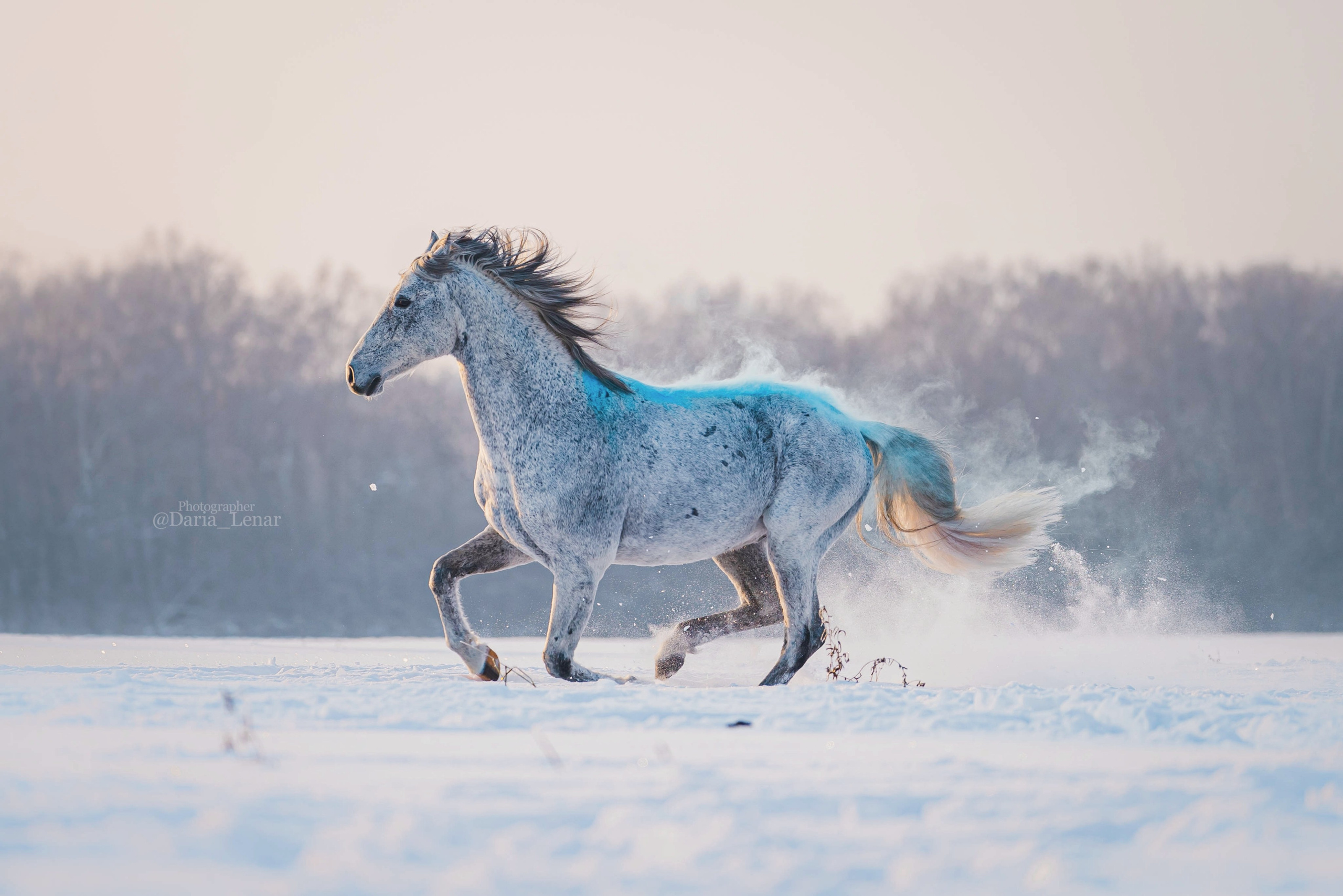 Людмила, Калидор, Михаил. Фотограф в Москве Ленарская Дарья