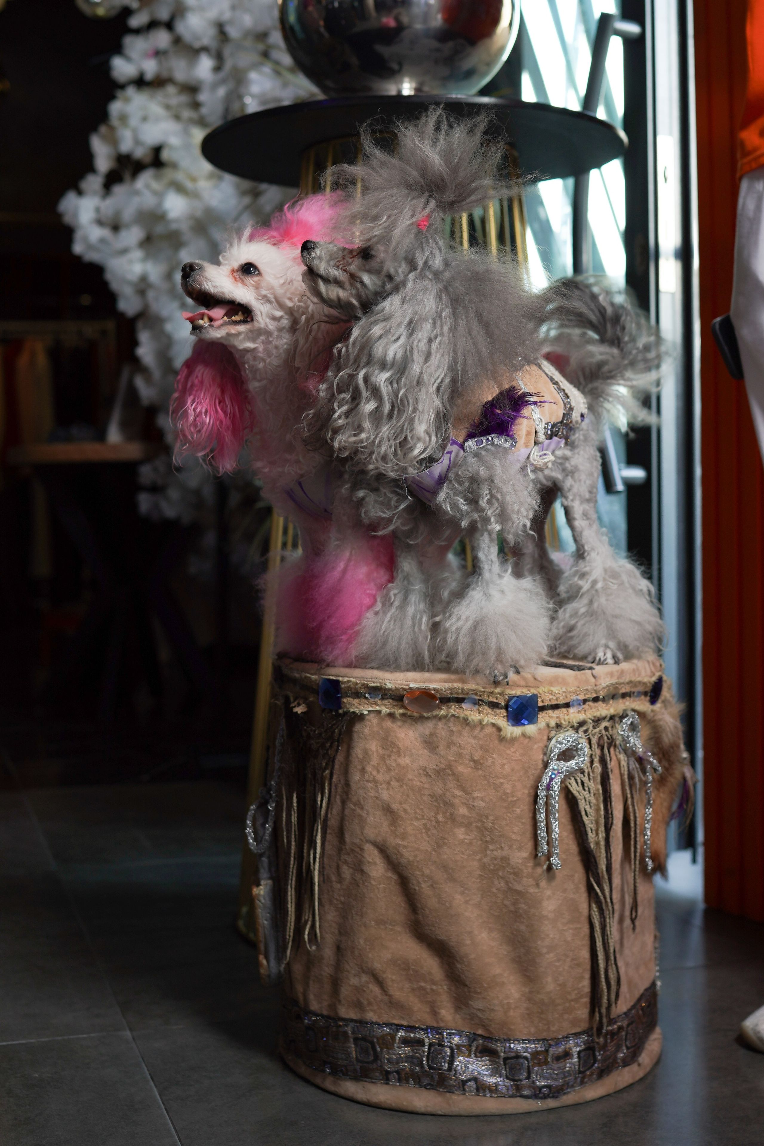 Summer Brunch — Ресторан MOOD