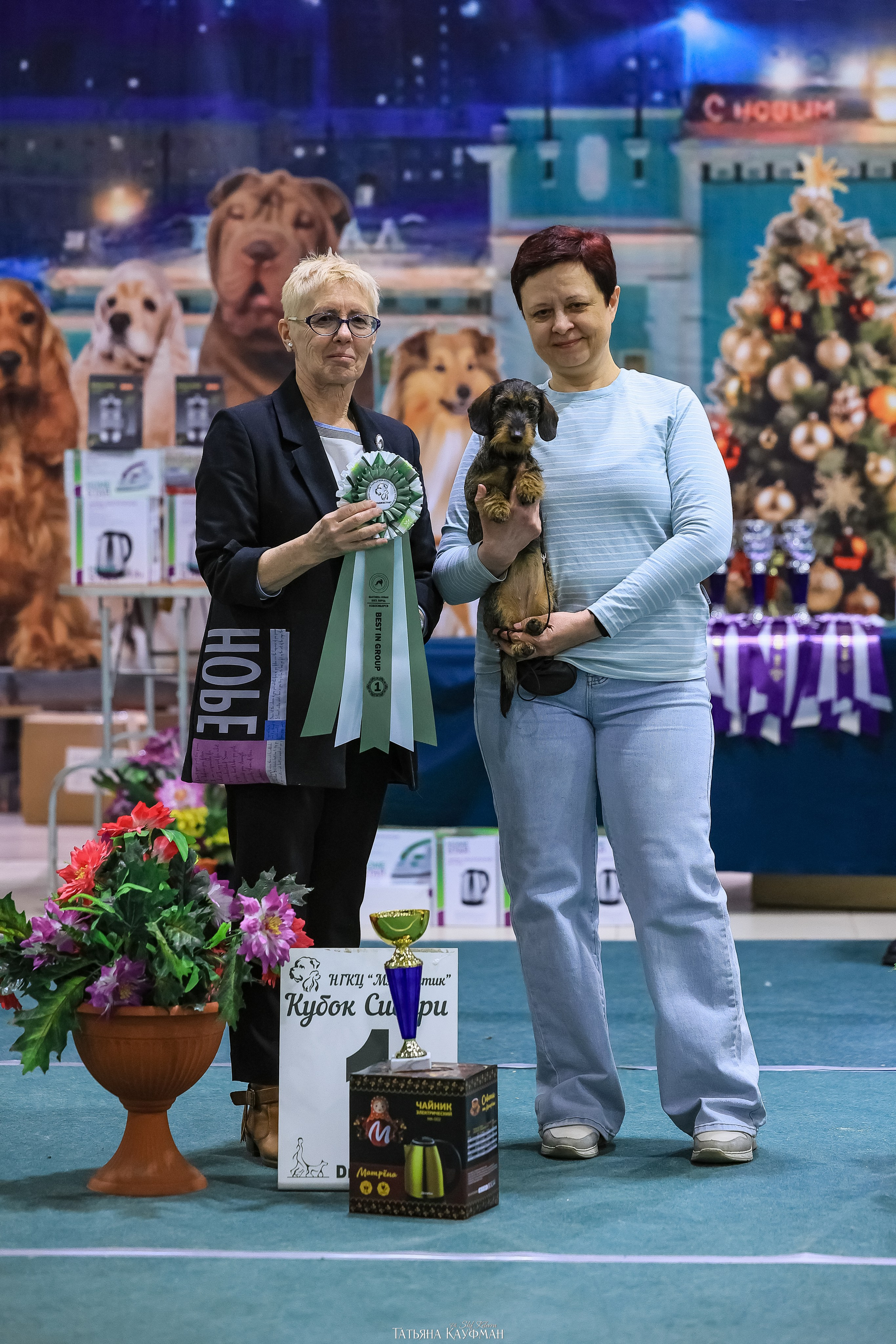 6-7.12.25 — 1-4 Национальные выставки собак в Новосибирске (2х рейтинговые). Фотограф Анималист из Новосибирска Татьяна Кауфман