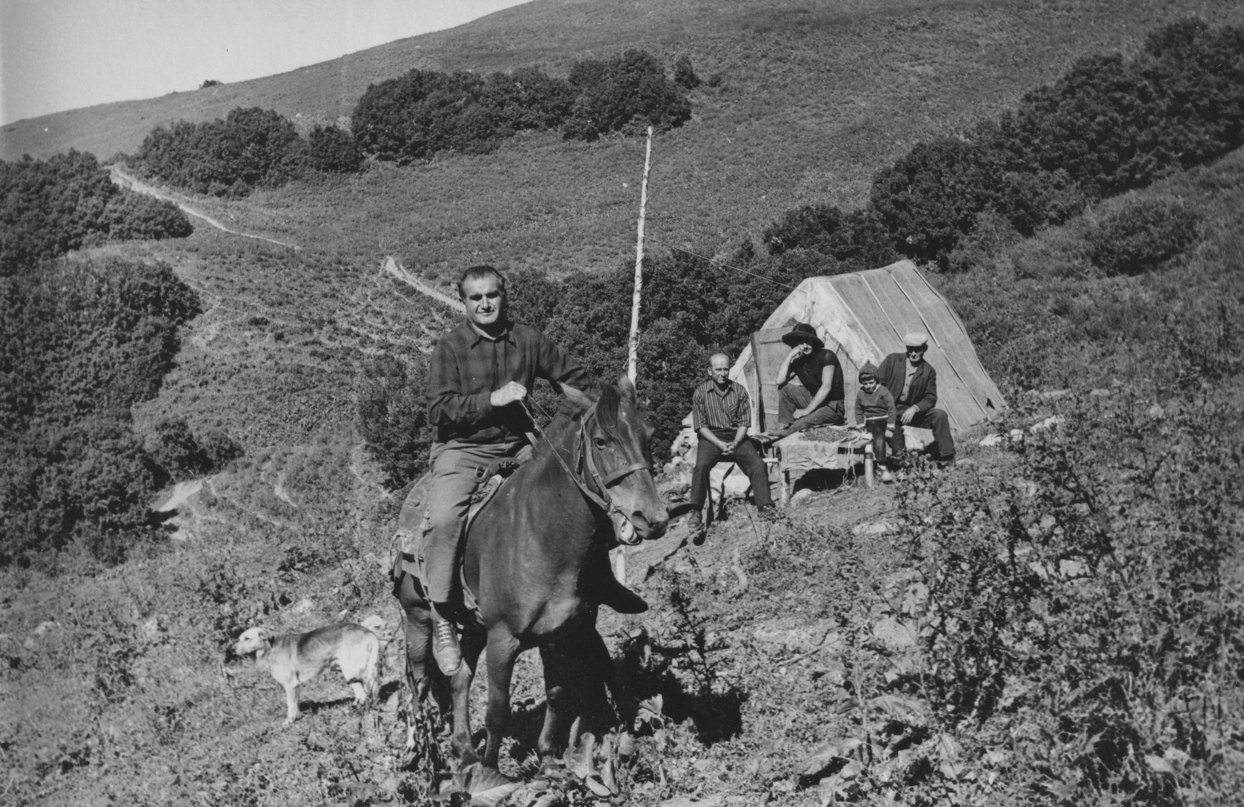 Архив Грайра Алтыбармакяна. 
