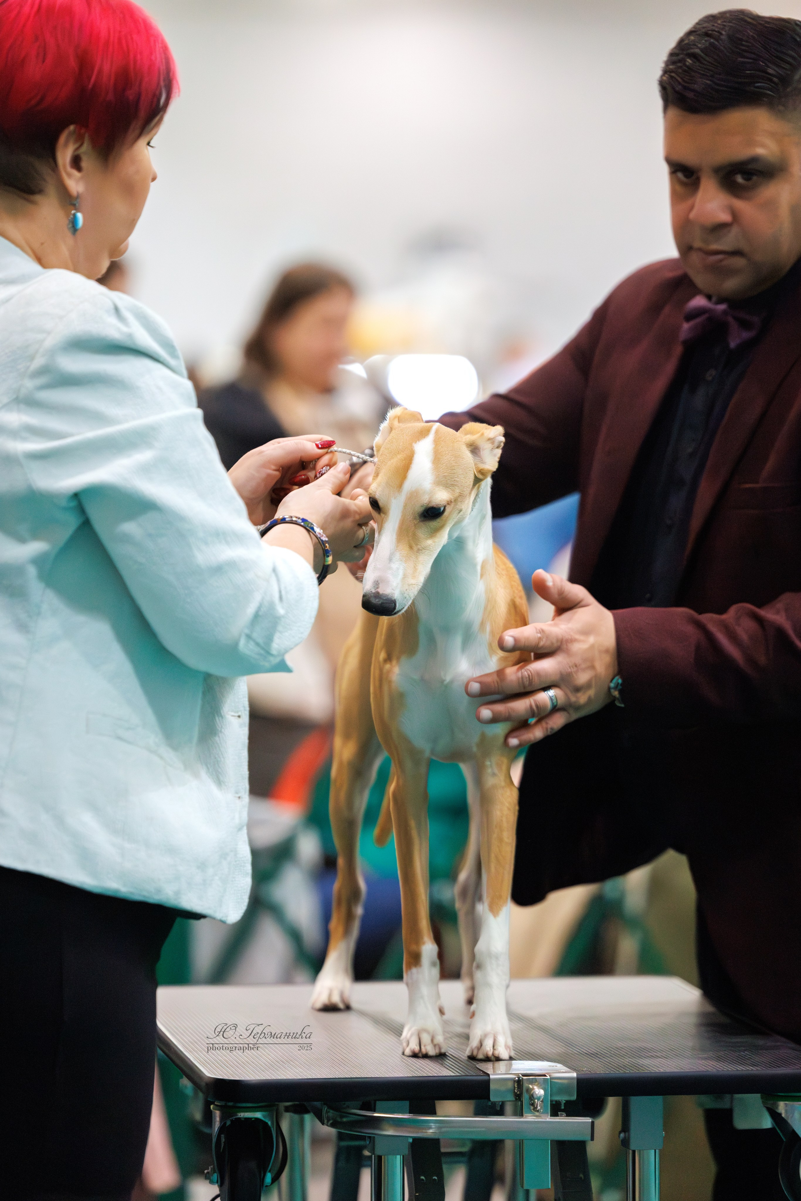 Гран-При 8.02.2025 и Крокус 09.02.2025. Фотограф-анималист Юлия Германика