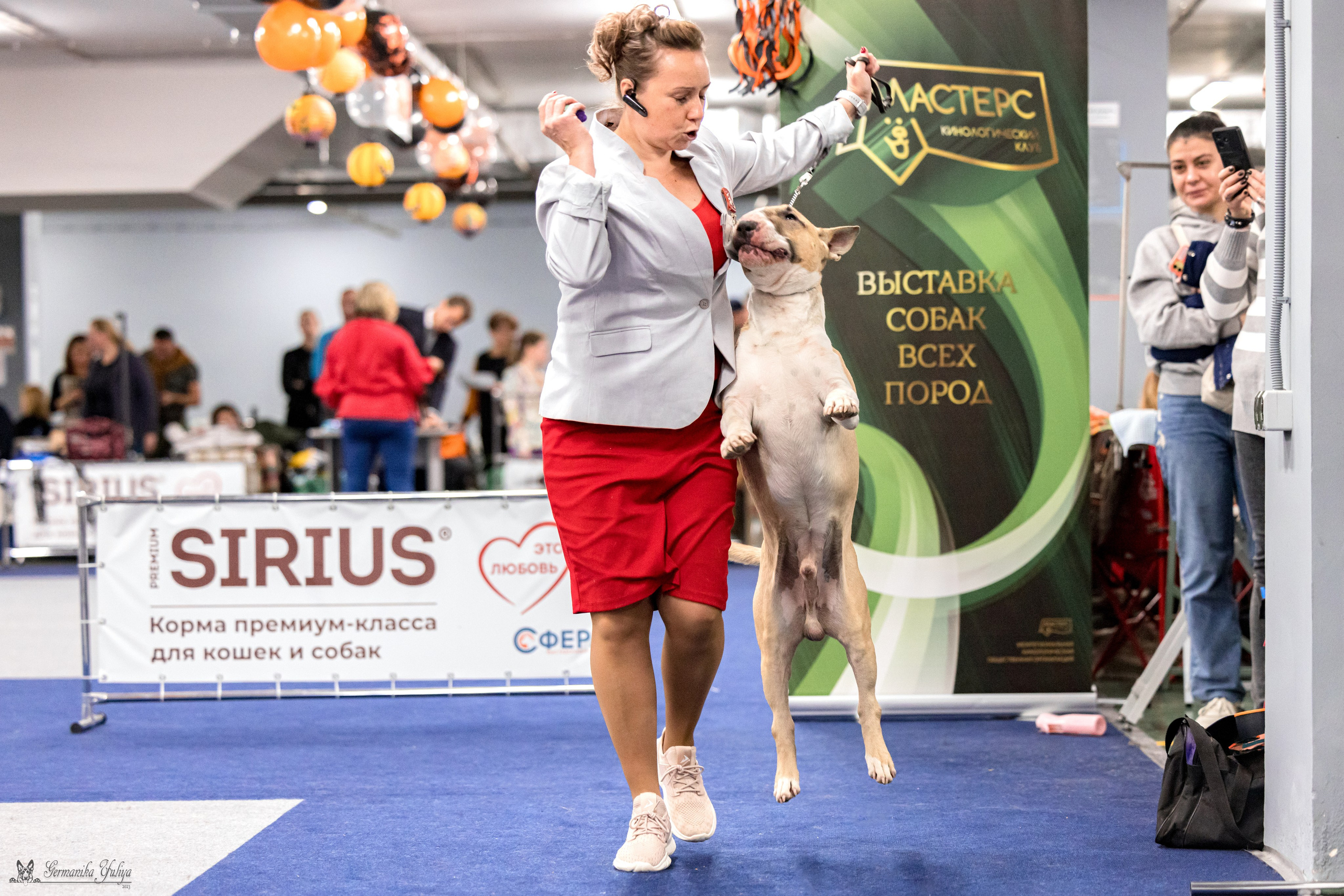 Сфера 29.10,Крокус 4.11,Сфера 12.11.2023. Фотограф-анималист Юлия Германика