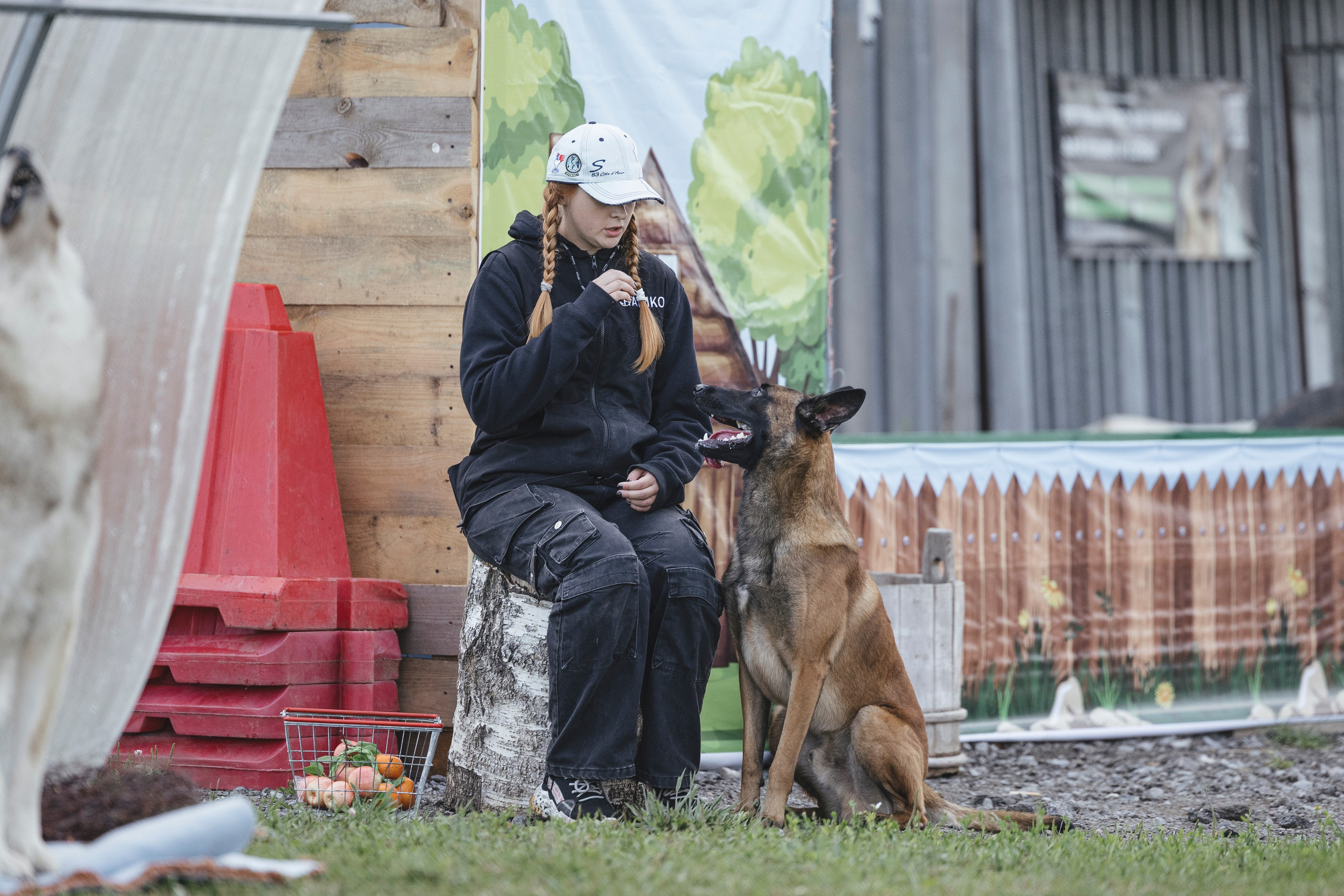 08.08.25-10.08.25 ЧР по мондьорингу г. Вологда. Фотограф-анималист Анна Маринич
