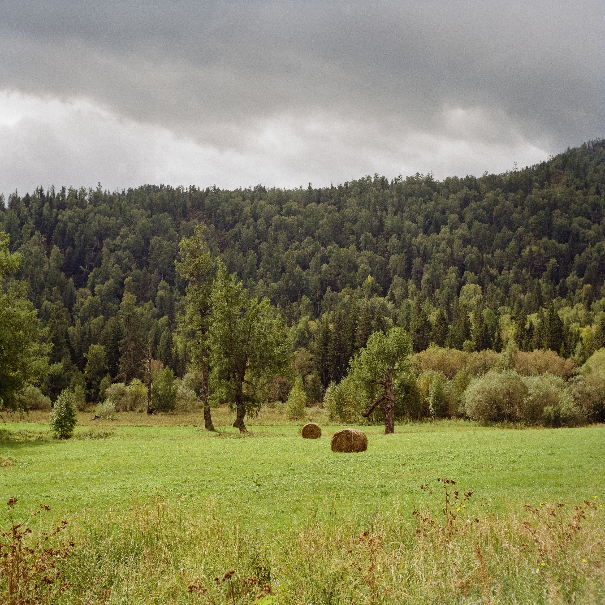 Алтай 08-09/2024