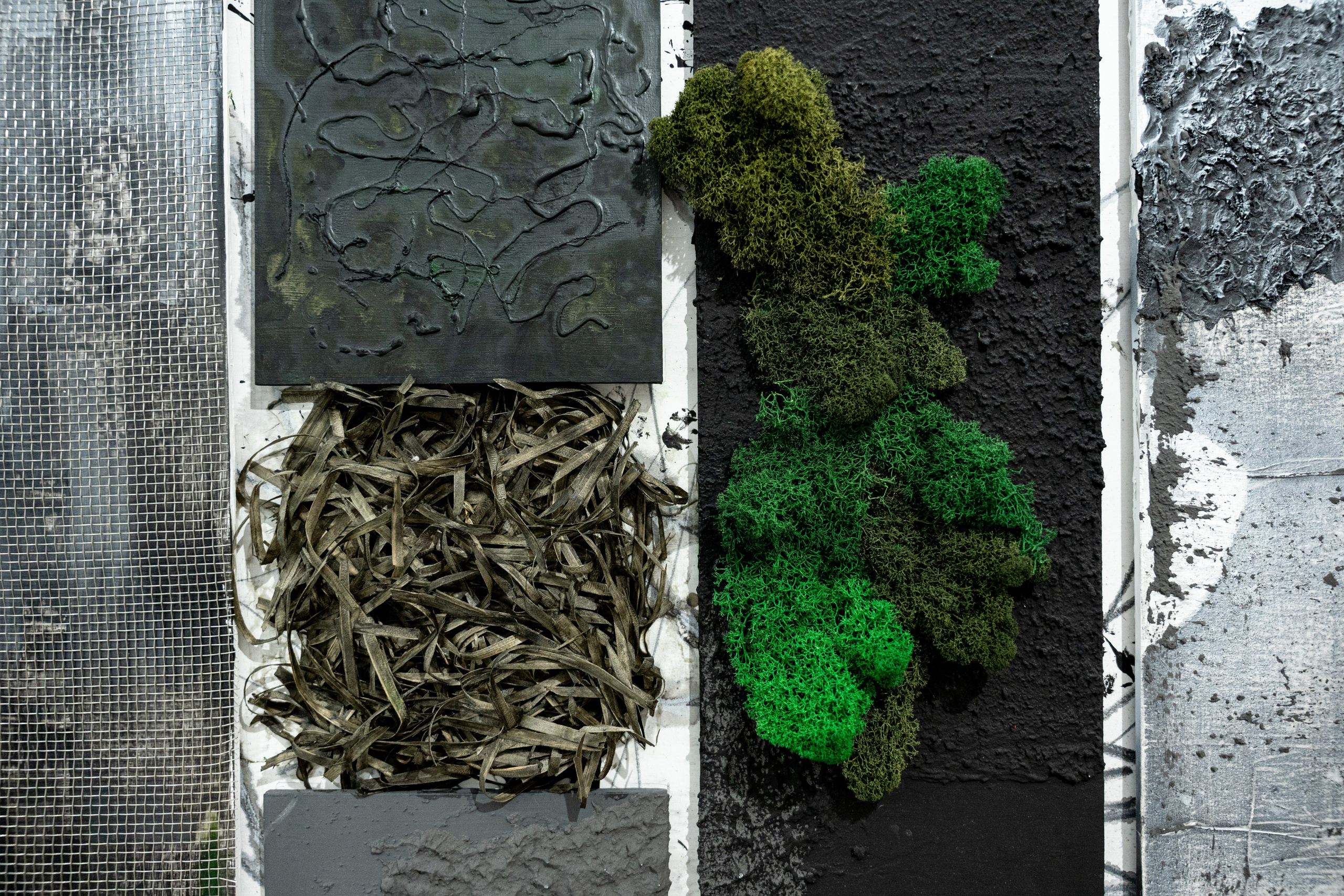 ЛЕС Авторский проект Юлии Якубович 04.11.2025. Портретный и репортажный фотограф в Москве Разуменко Роман