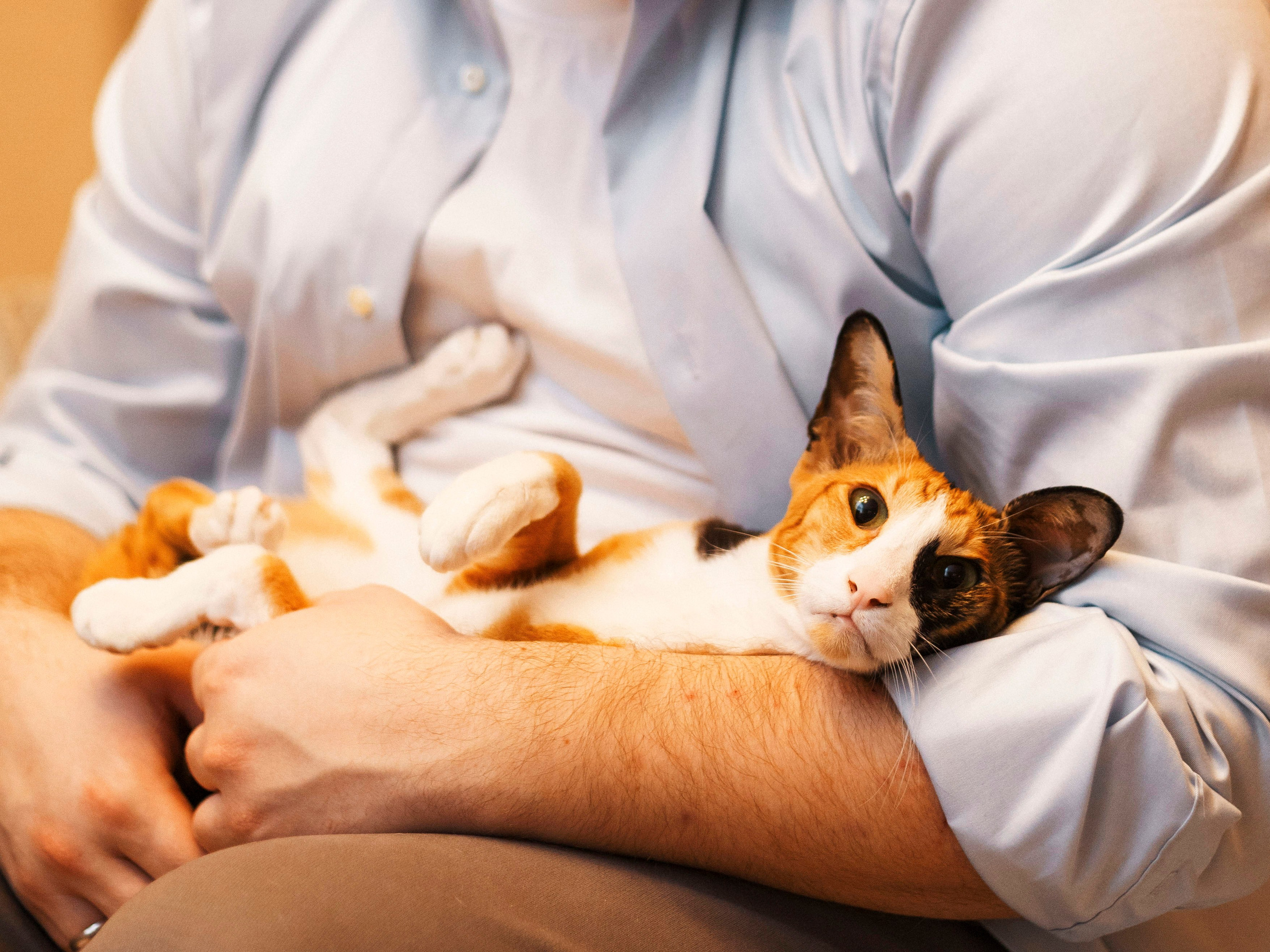 Дома. Photographer in Montenegro Tatiana Talaeva