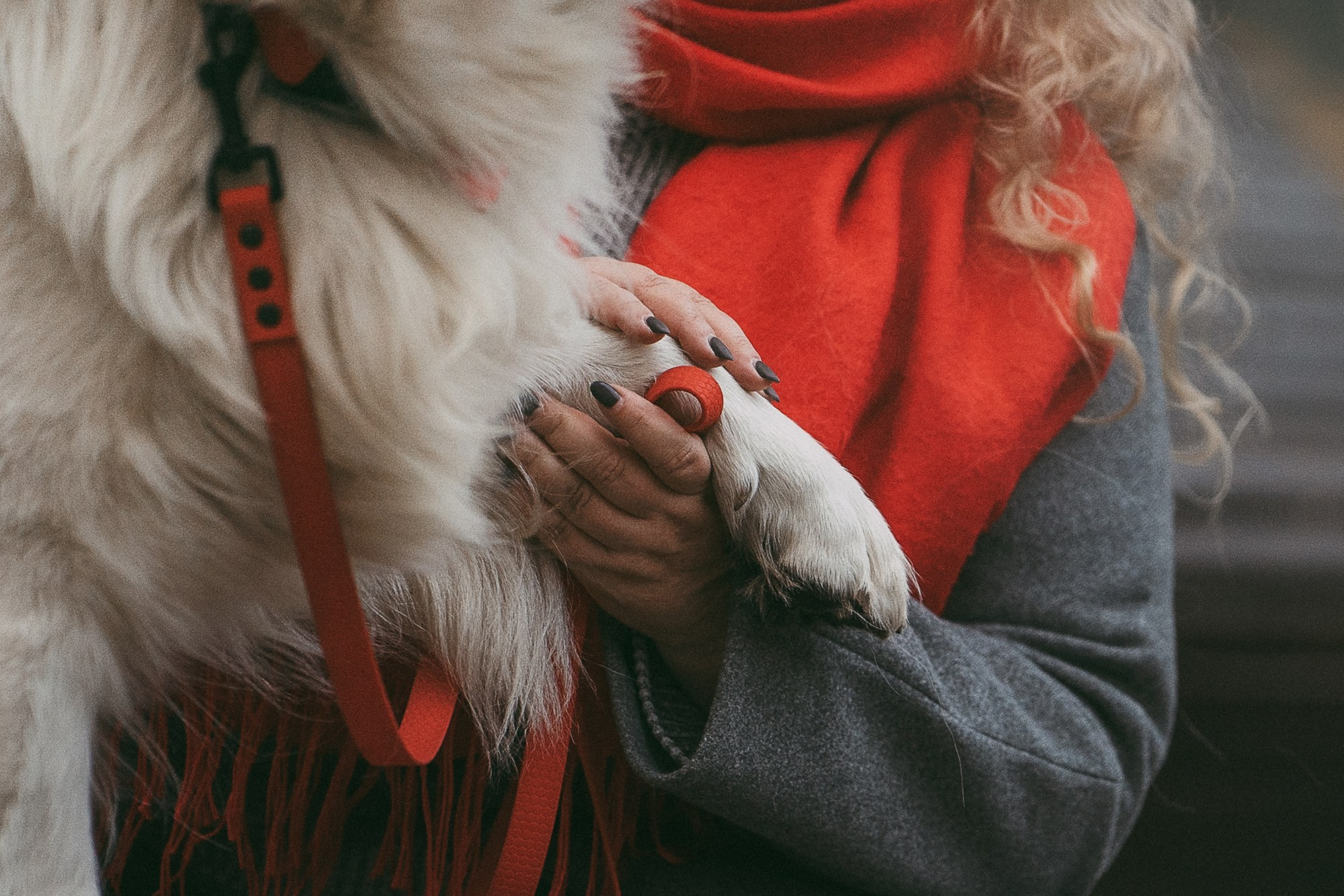Лена и Мерлин. Фотограф анималист в Москве и Санкт-Петербурге Свиридова Анна
