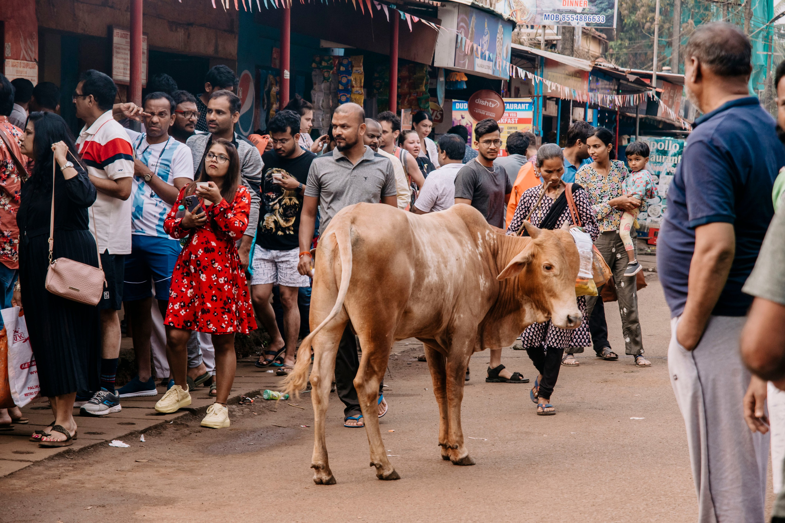 Гоа. индия. Iraogo