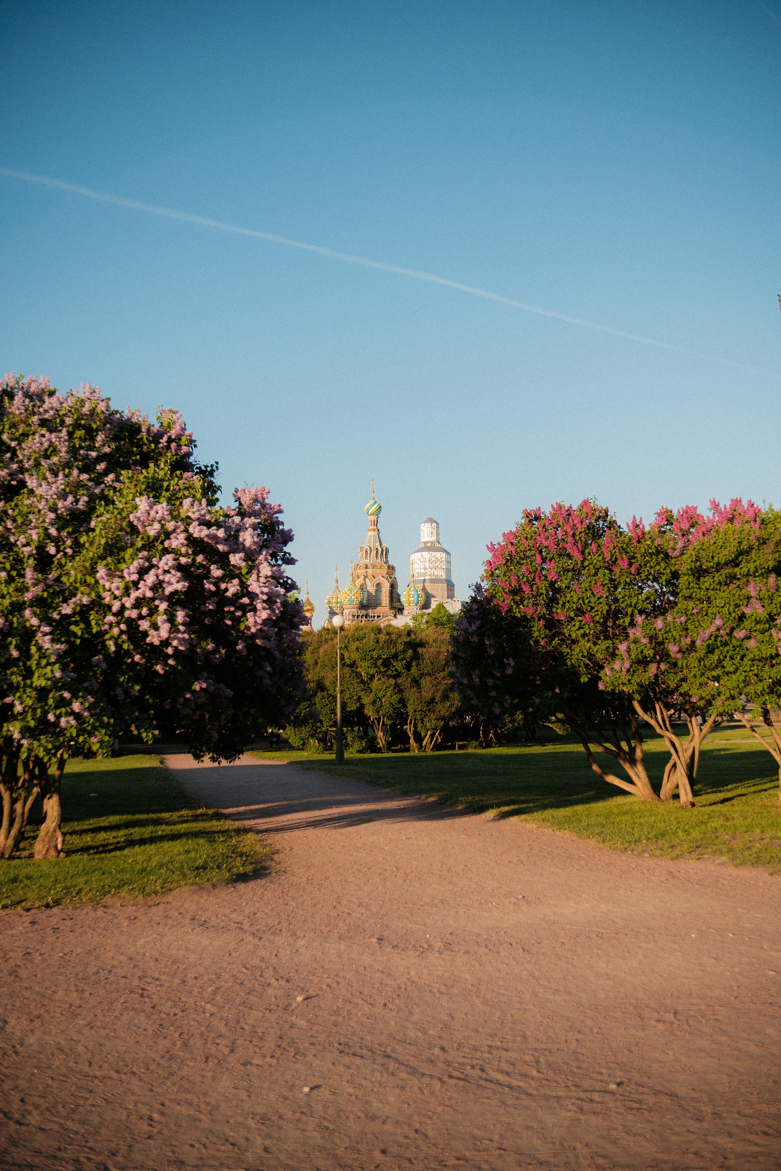 Утром на марсовом поле. Михаил Долганов