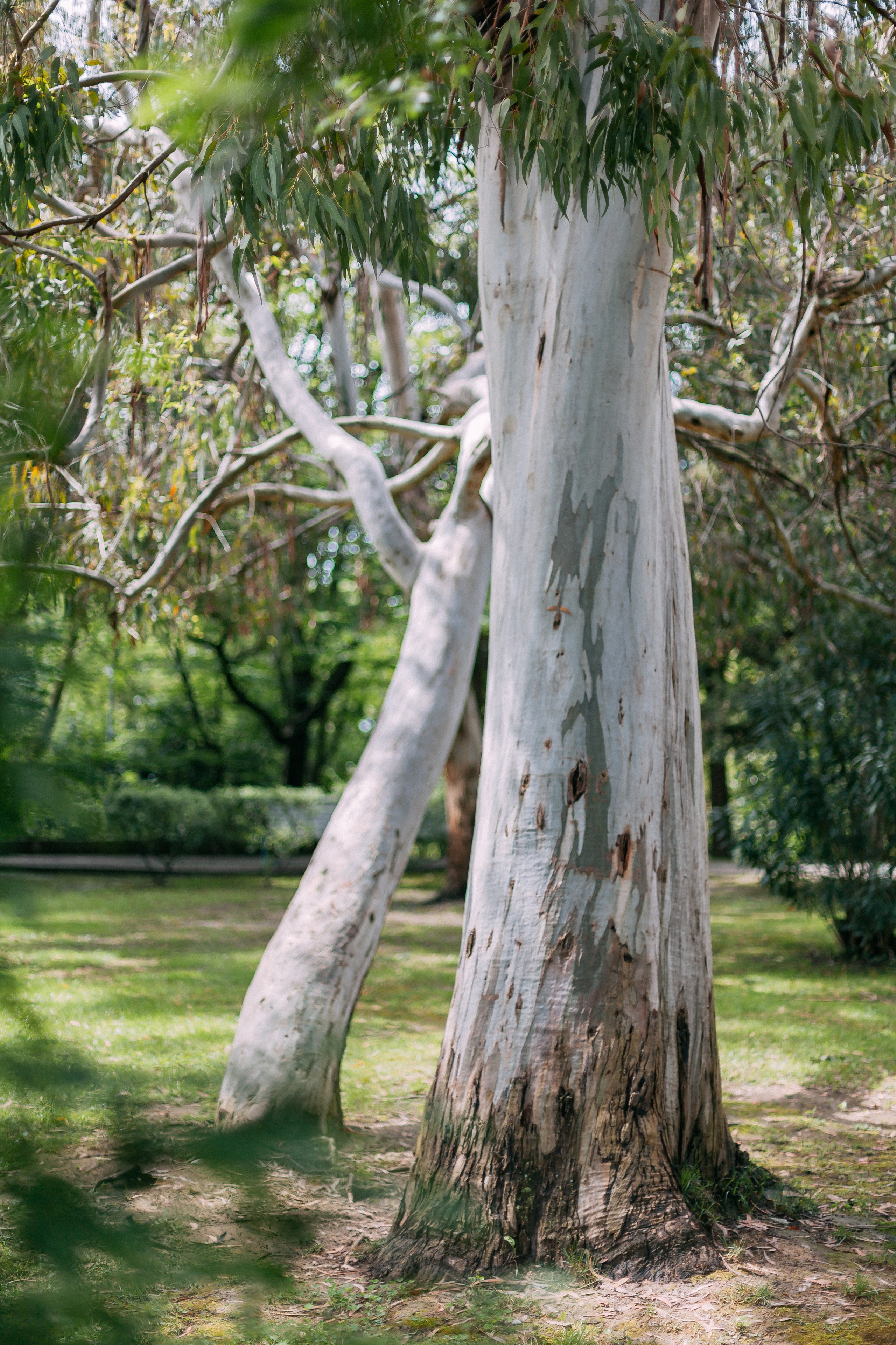 Сочи. Аня Степанова