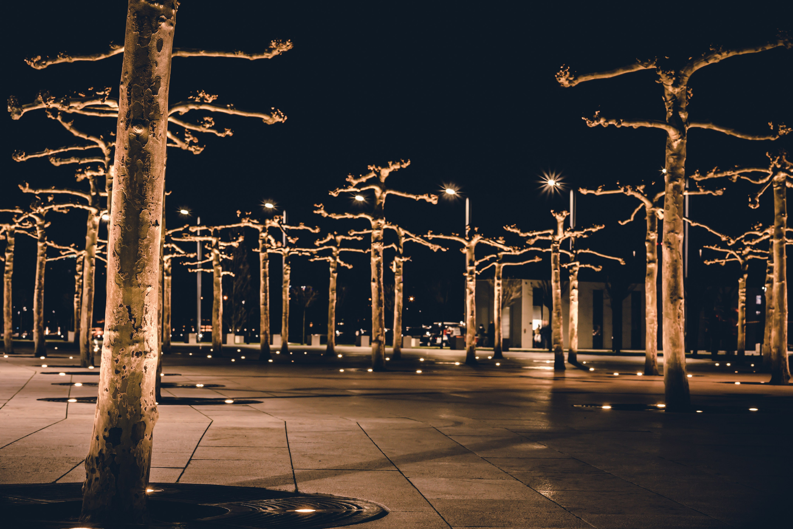 Краснодар в кадре: взгляд рекламного фотографа из Гуанчжоу. Коммерческий и предметный фотограф в Гуанчжоу Коваленко Александр