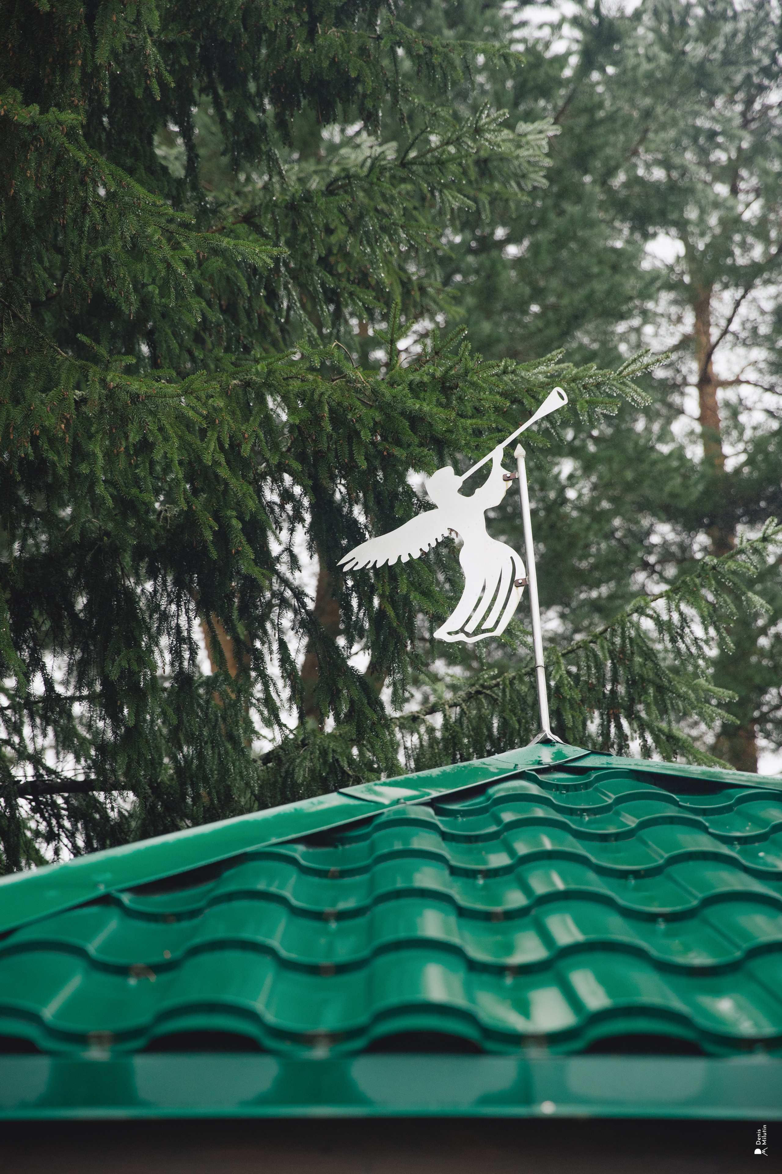 Женский Митрофаниевский скит Важеозерского мужского монастыря. Портретный фотограф Денис Милютин