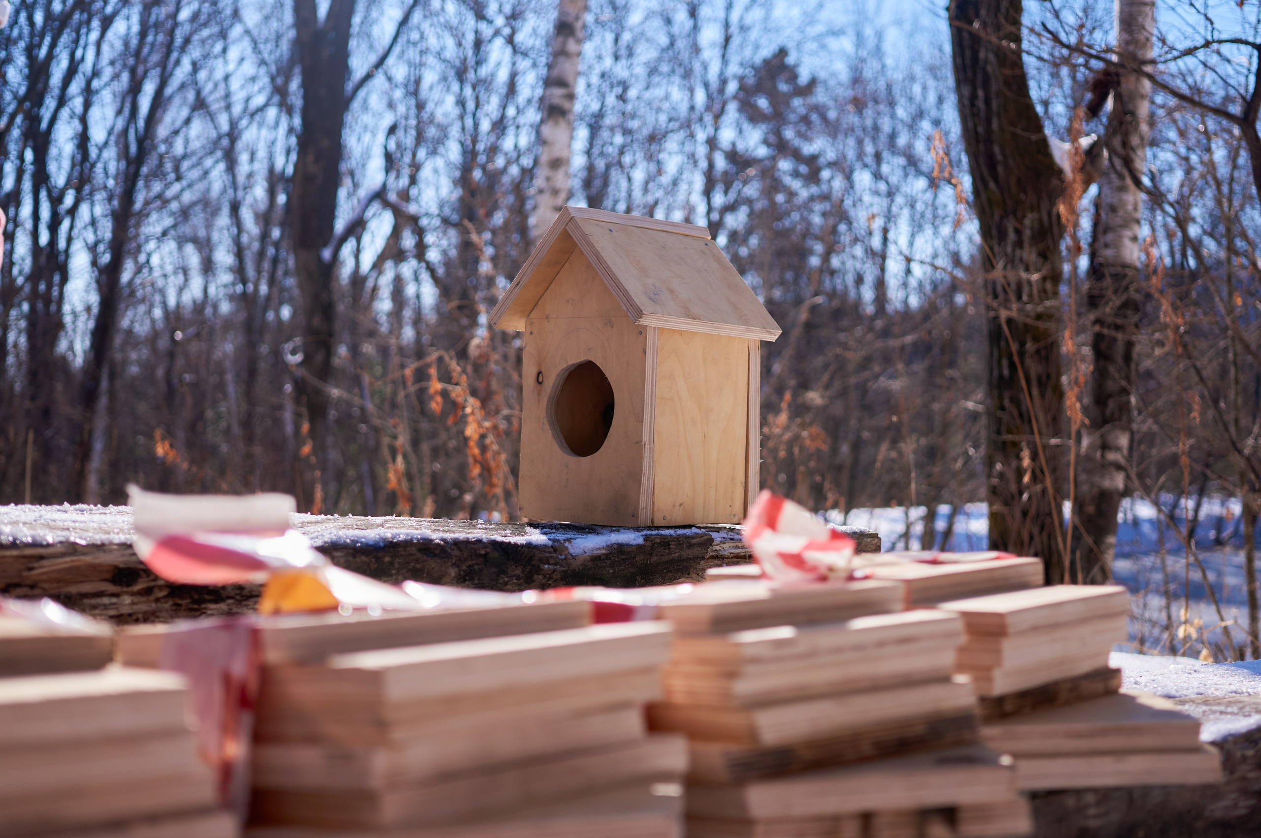 Амурский кампус. Фотограф | Кнышева Валерия | Санкт-Петербург