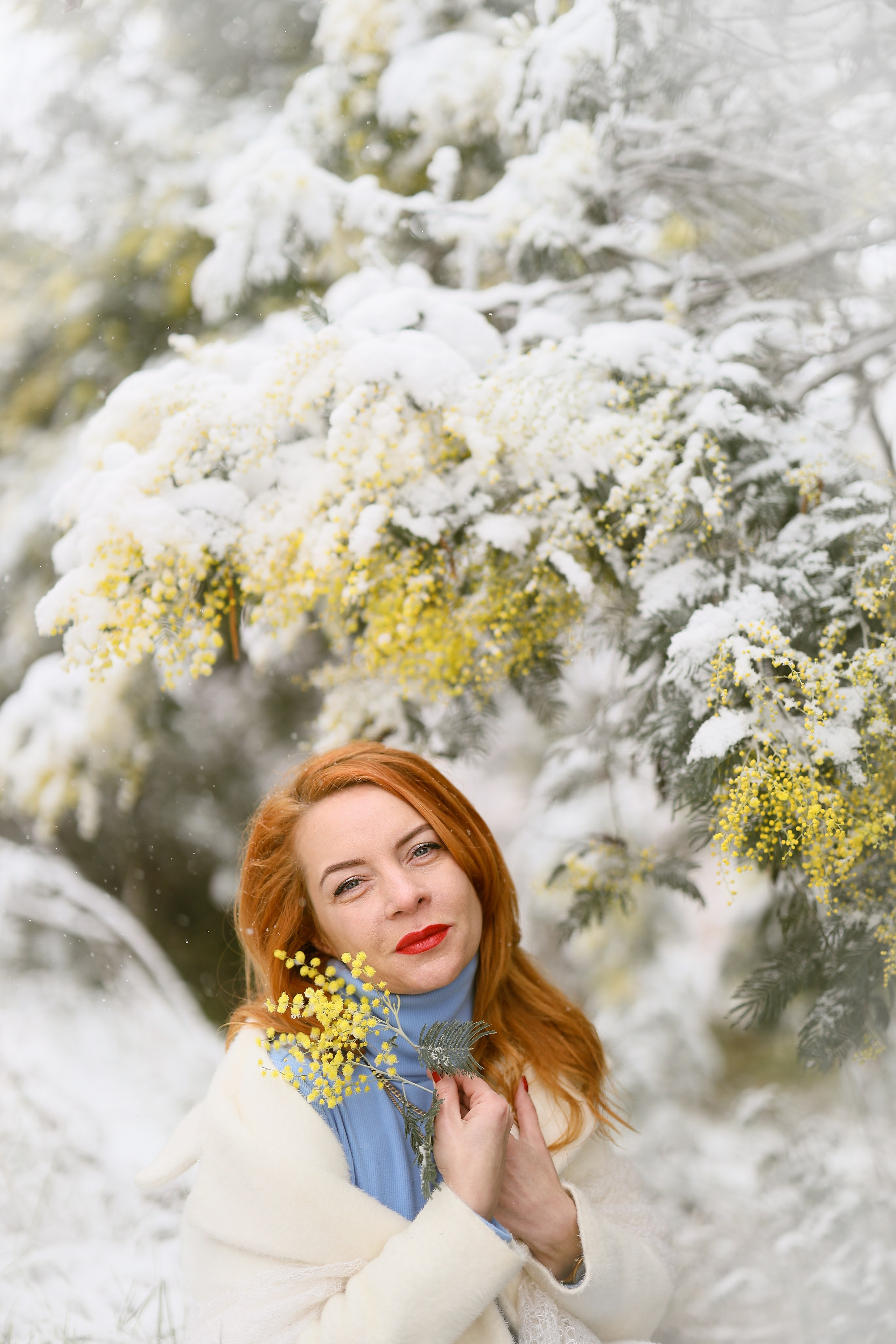 фотосессия с мимозой