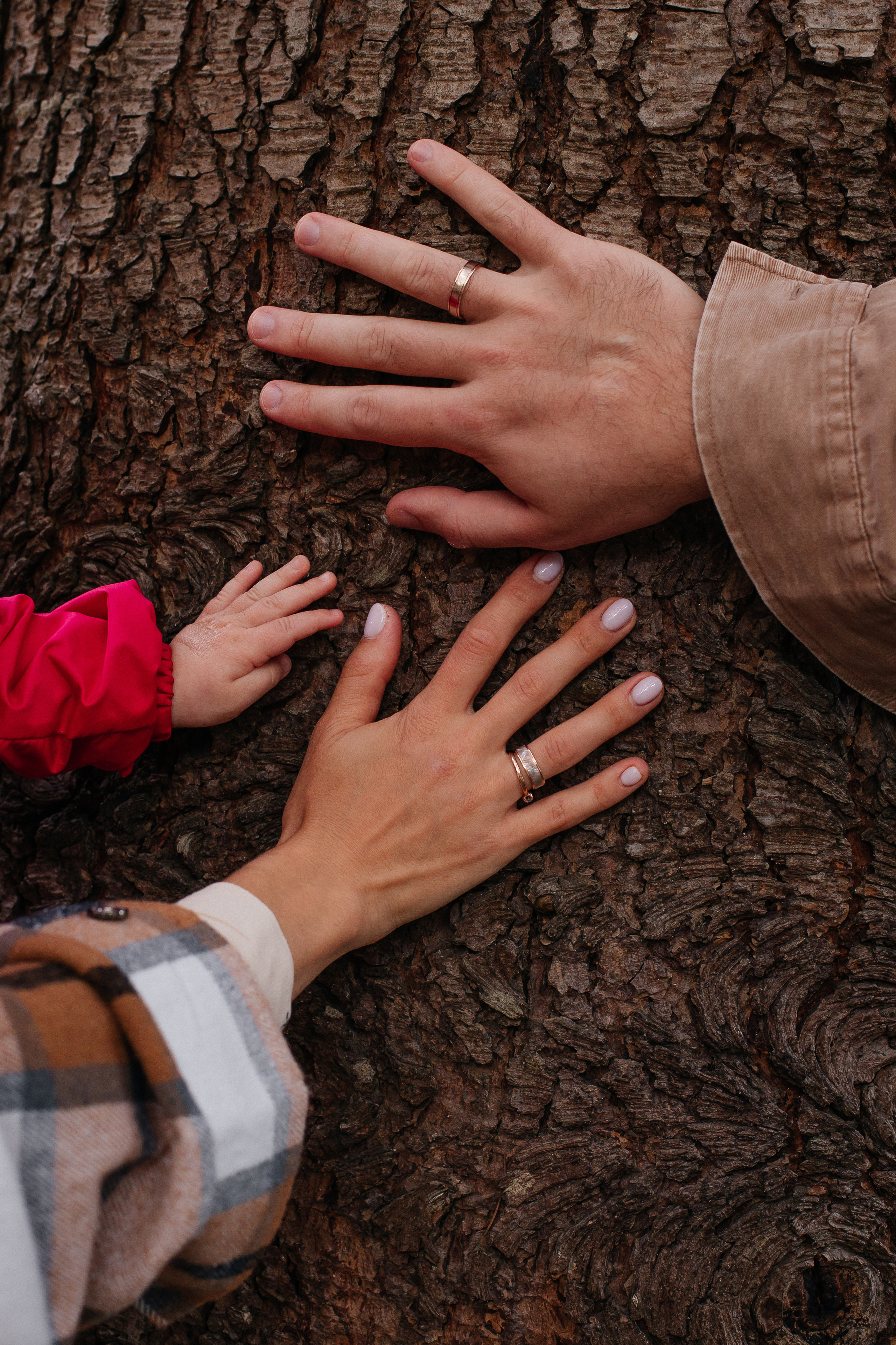Дима, Наташа и Алиса. Фотограф Сочи, Екатеринбург, Евгения Ефимова
