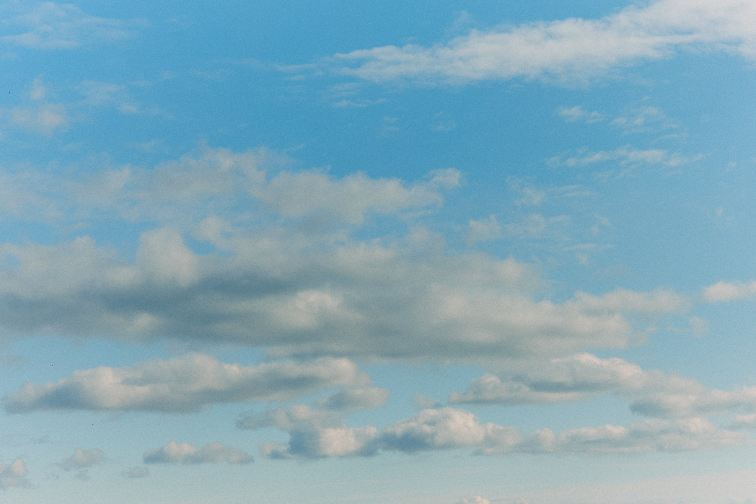Юг России. Профессиональный Фотограф во Владимире, в Москве и в Суздале — Полина Романычева