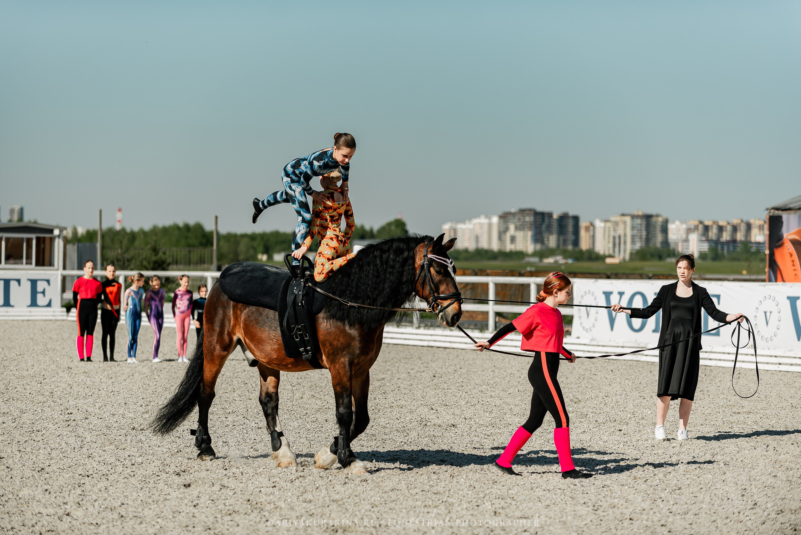 РЕПОРТАЖ МКК ВОЛЬТ «LA TULIPS». Конный фотограф Куракина Дарья • Фотосессии с лошадьми