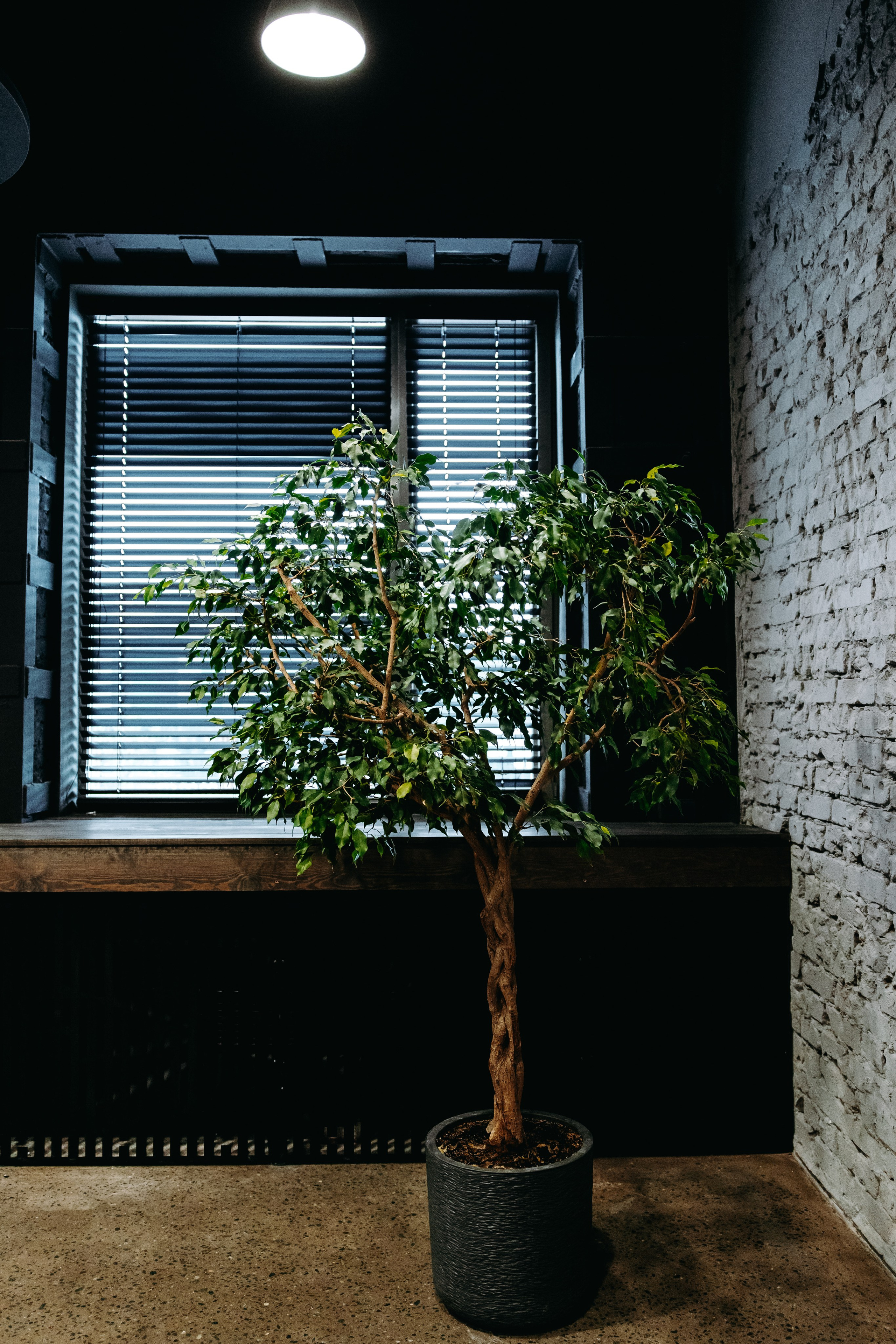 Креативный кластер. Фотограф в Саратове Александр Кухаренко. И не только в Саратове :)