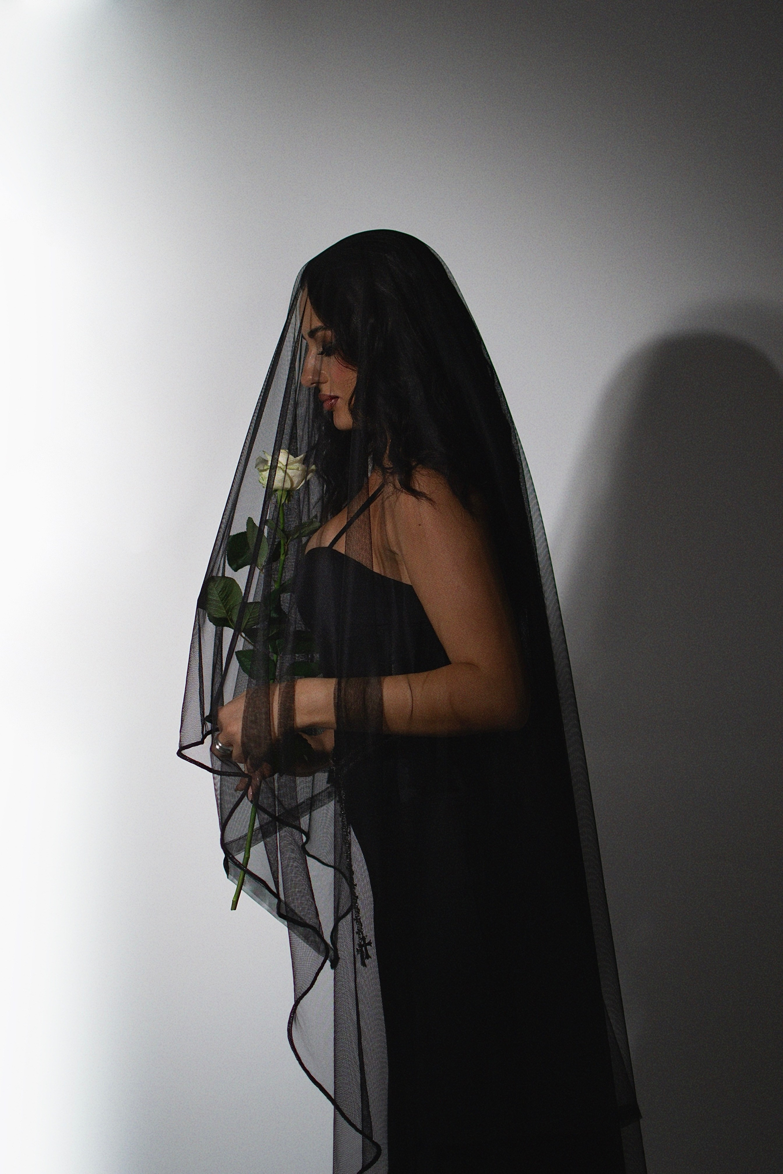 Morticia Addams. Фотограф Медведева Христина г. Санкт-Петербург