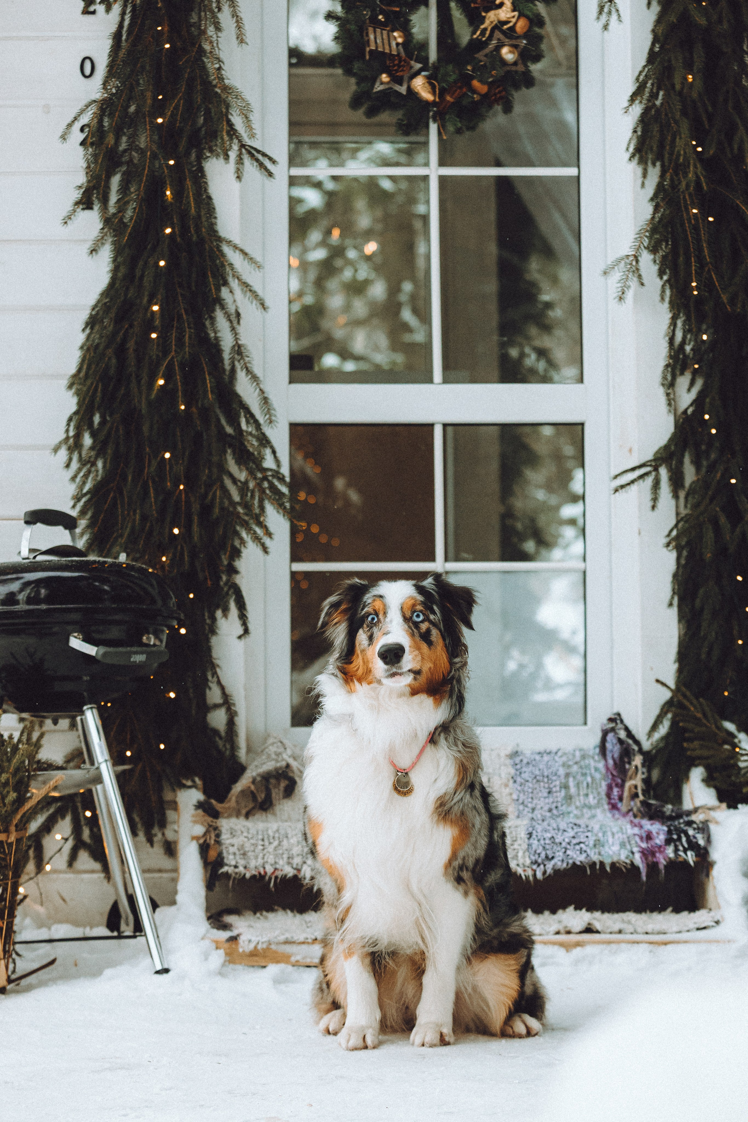 Фаня и ее семья