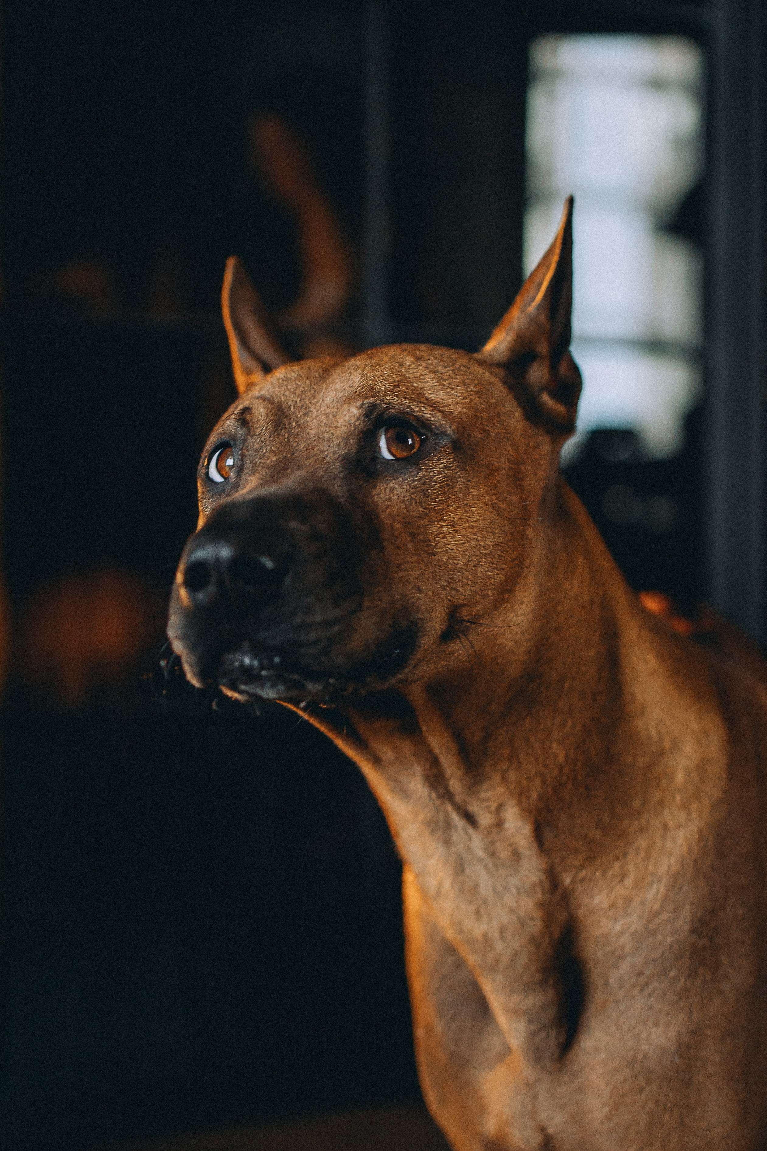 Оксана и Зевс