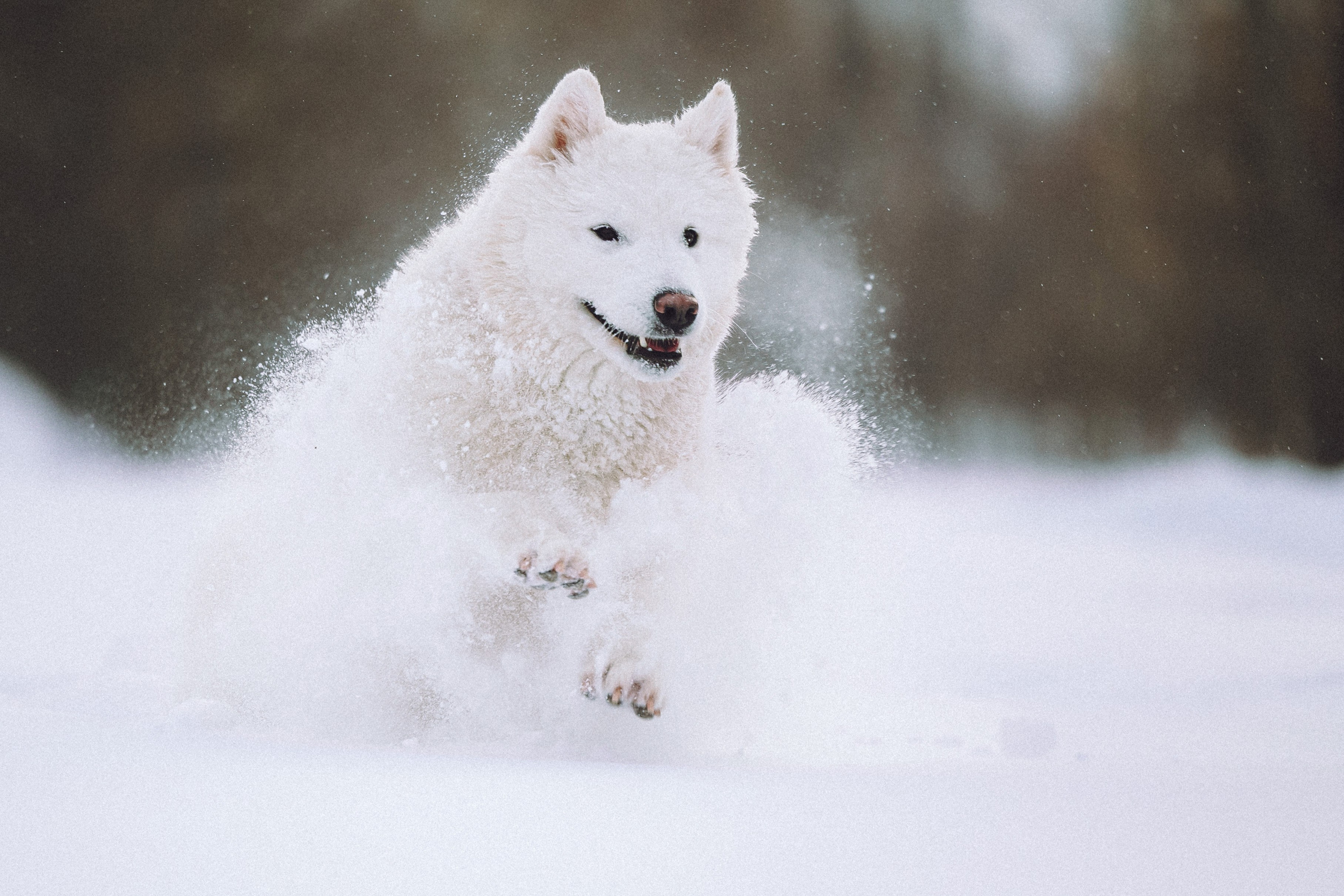 Мария и Мася