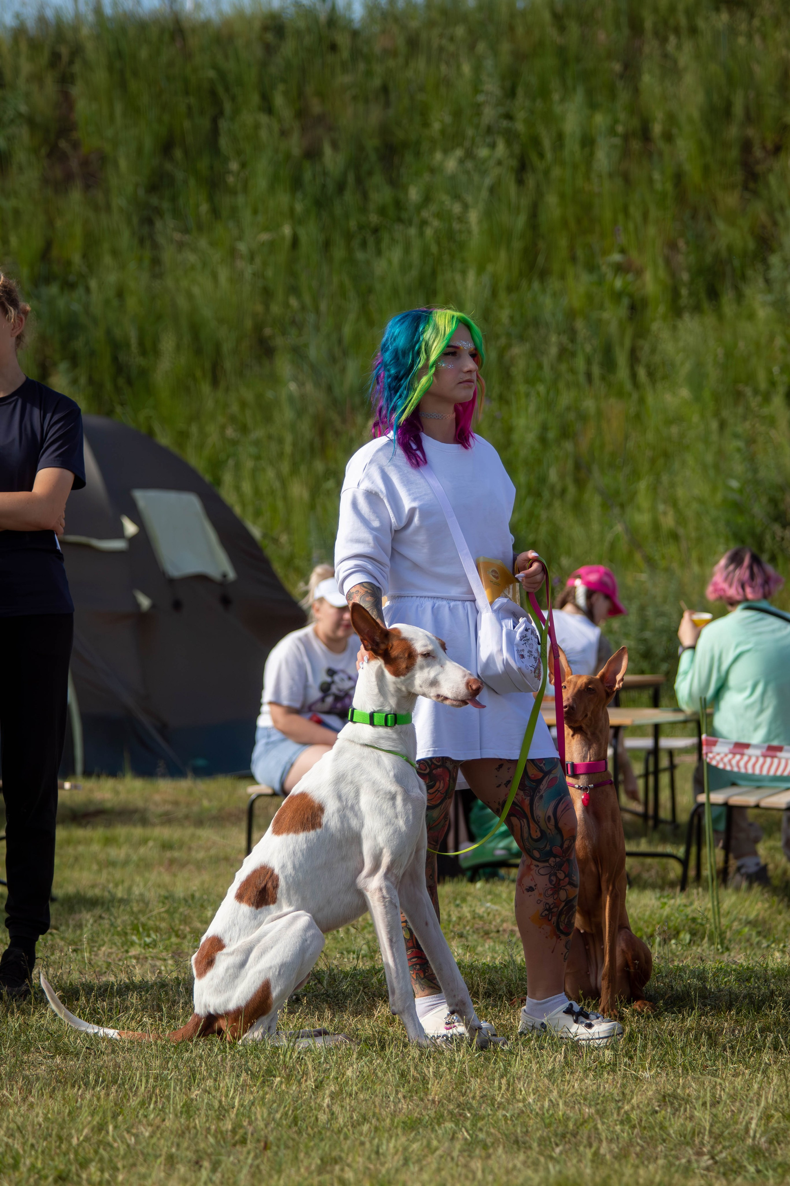 Хвостатый Драйв 2024. Фотограф анималист — Тула, Москва
