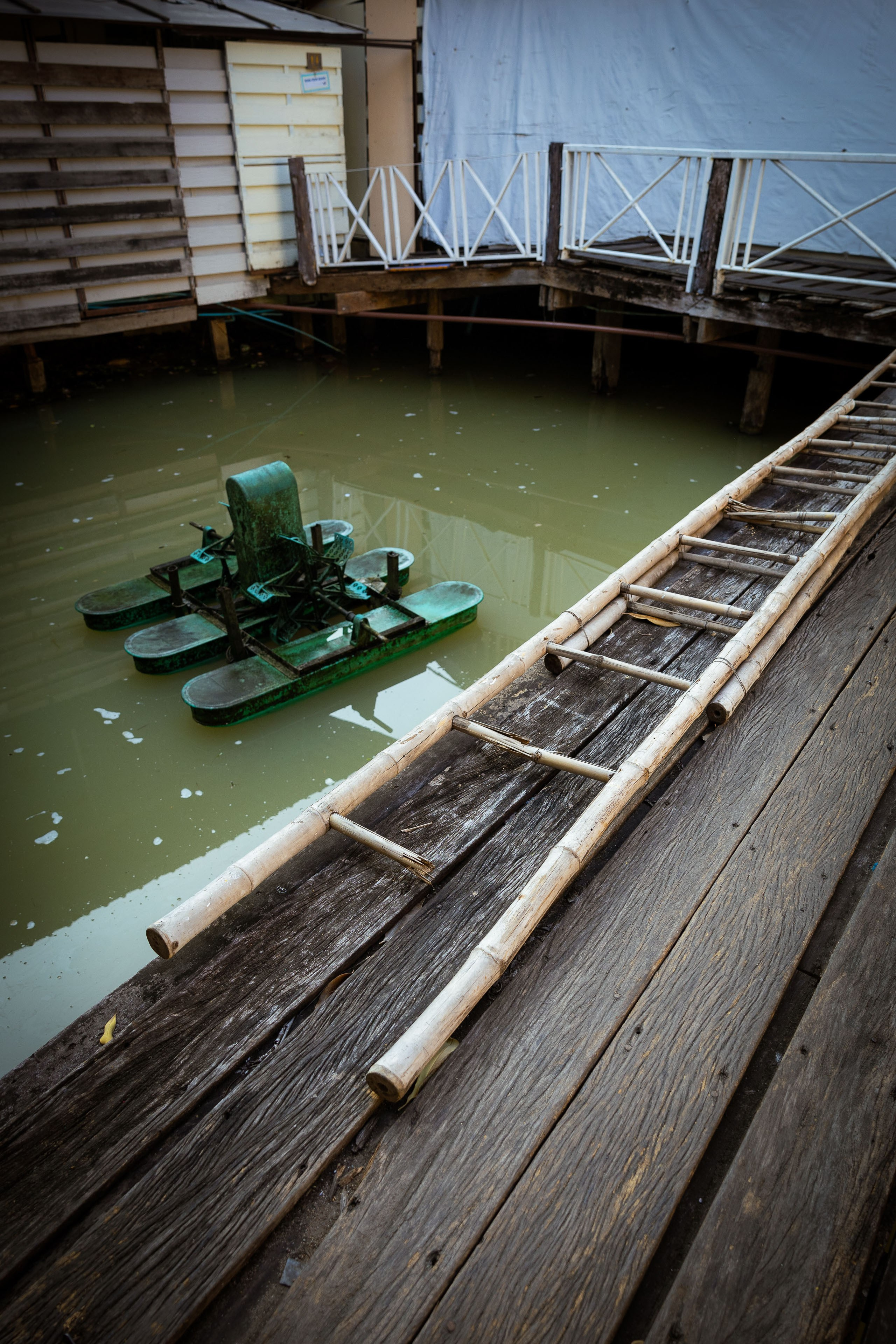 Таиланд (зима 2025). Фотограф Виноградов Константин