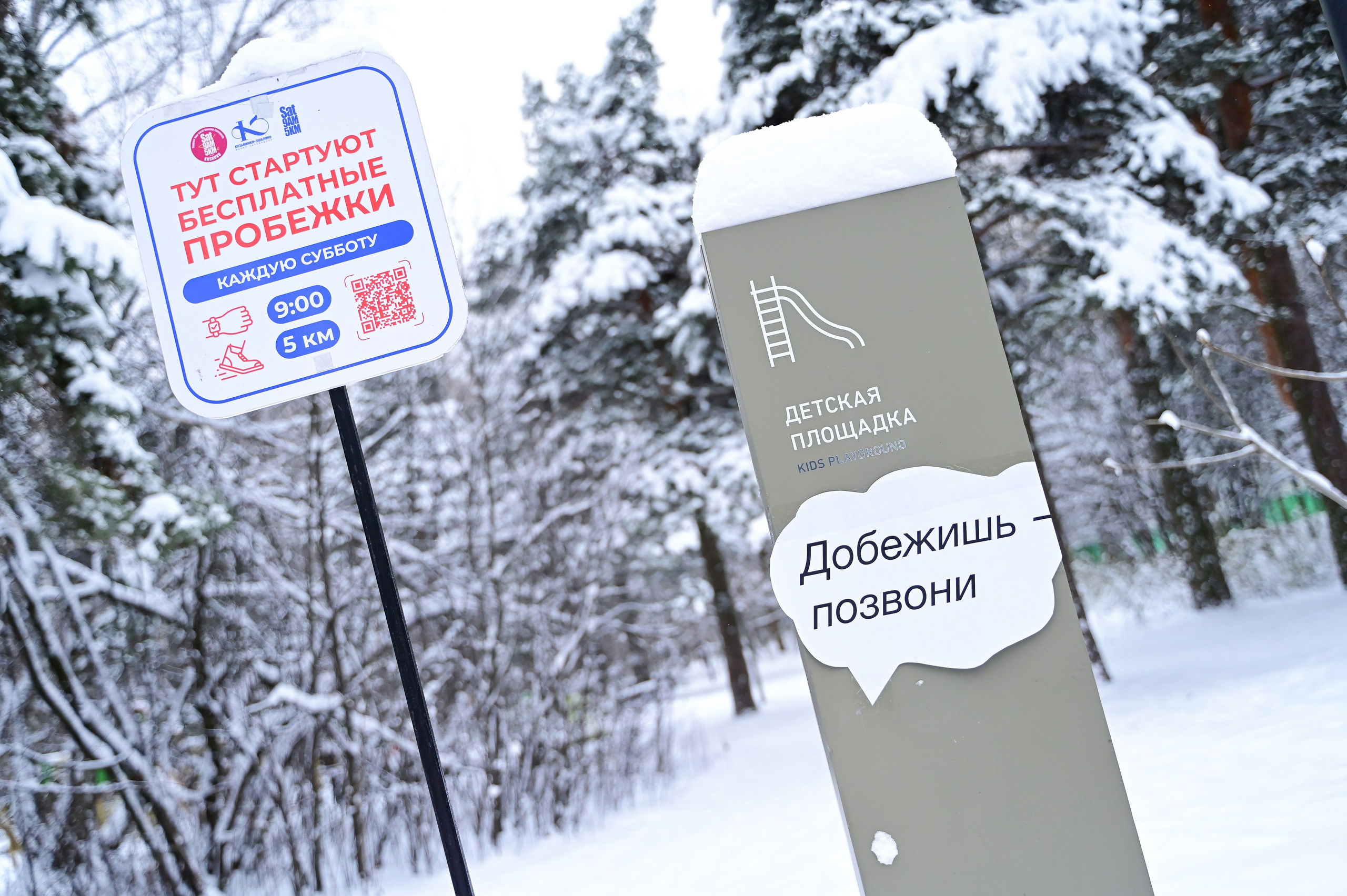 Sat9am5km Кузьминки (25.11.23). Фотограф | Ирина Гамзинова | Москва