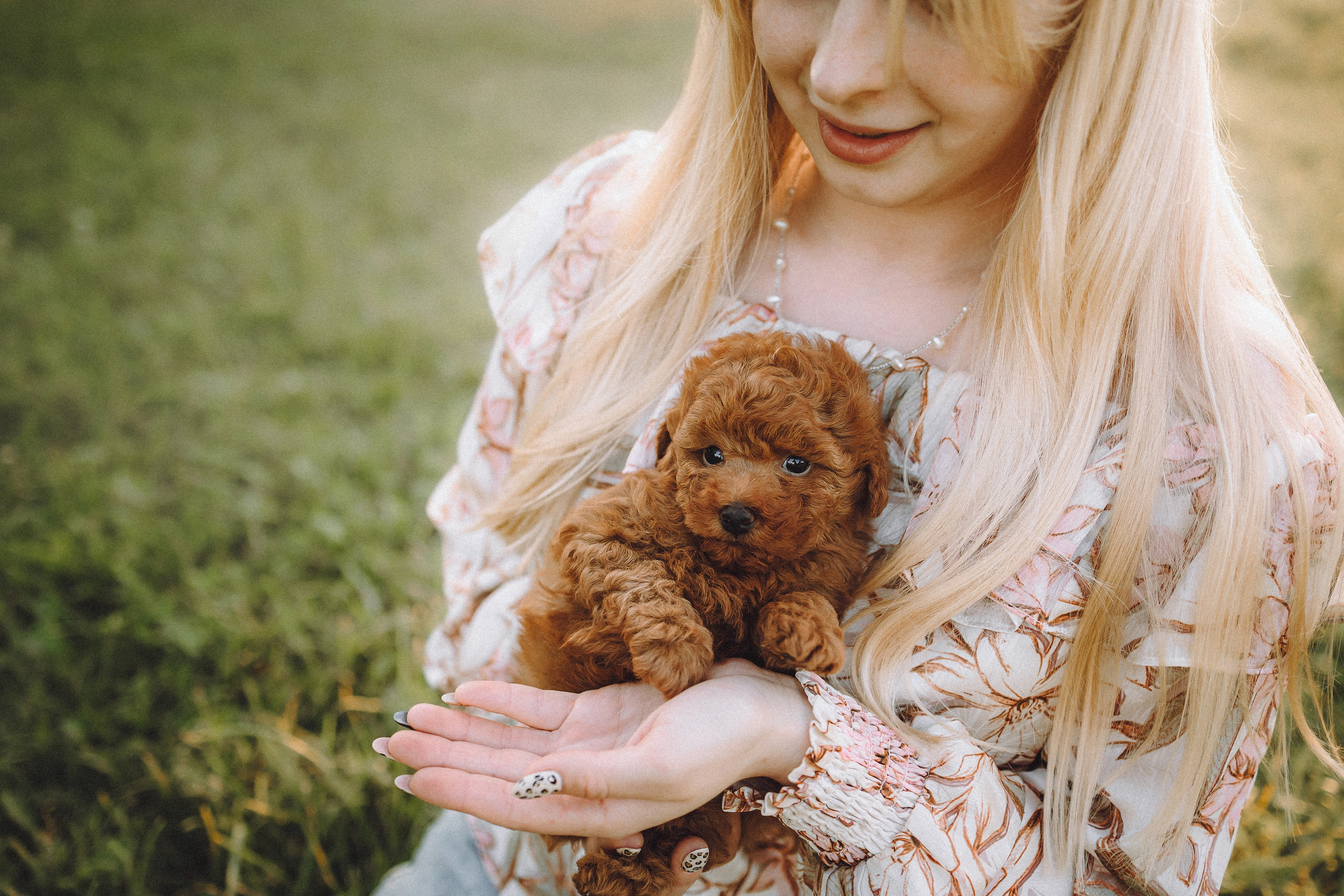 Гречка, Кари и щенки