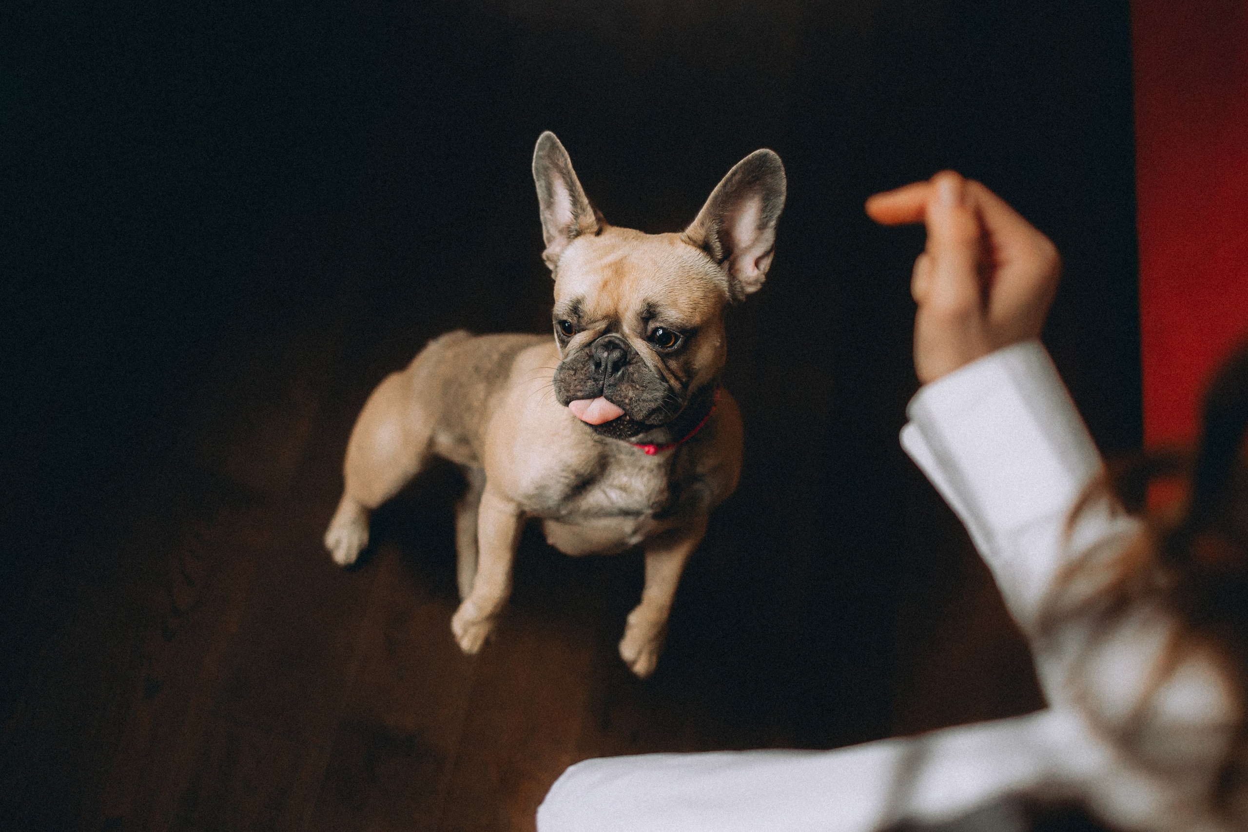 Юля, Мия и Зек