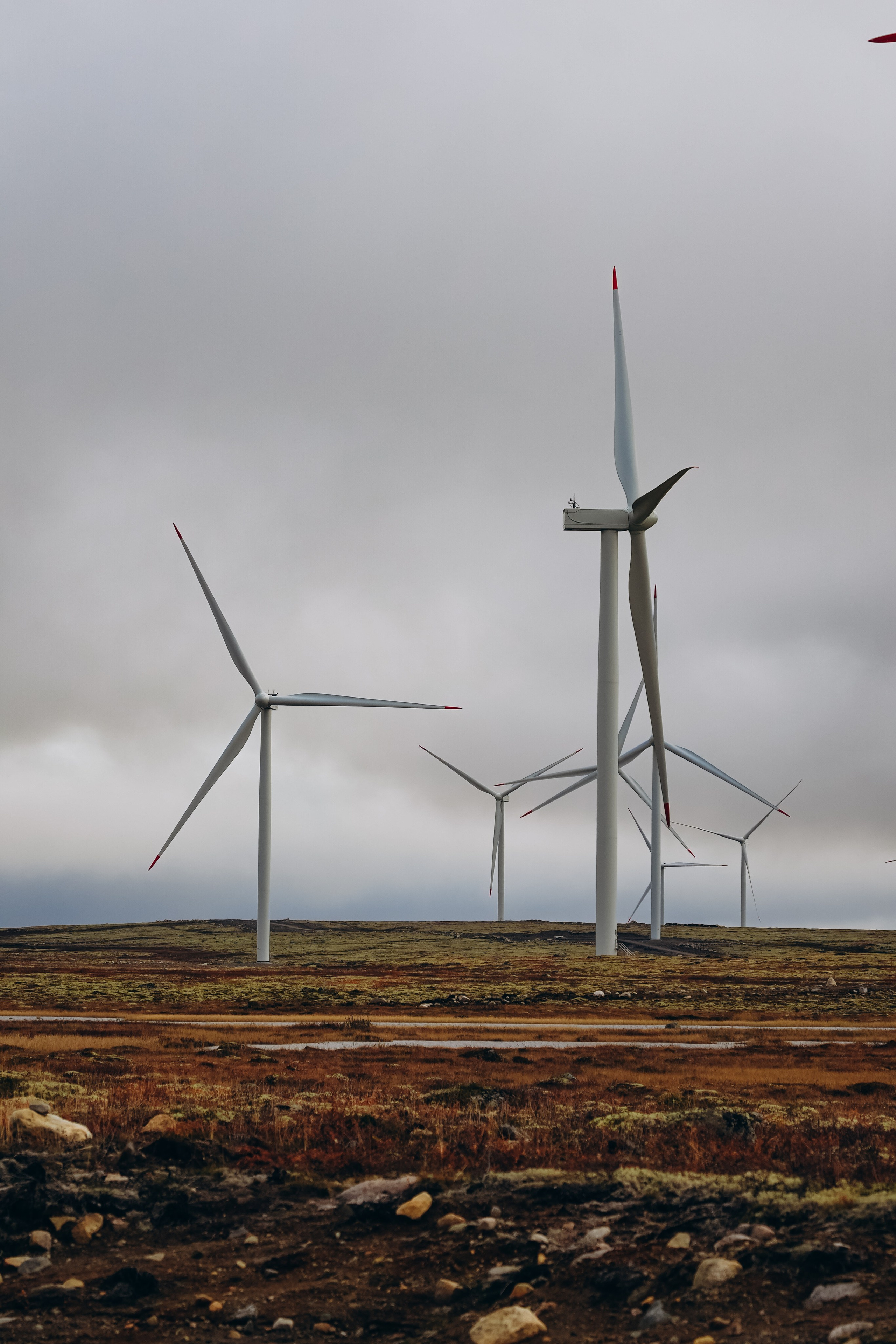 СЕВЕР. Event фотограф Степанова Александра