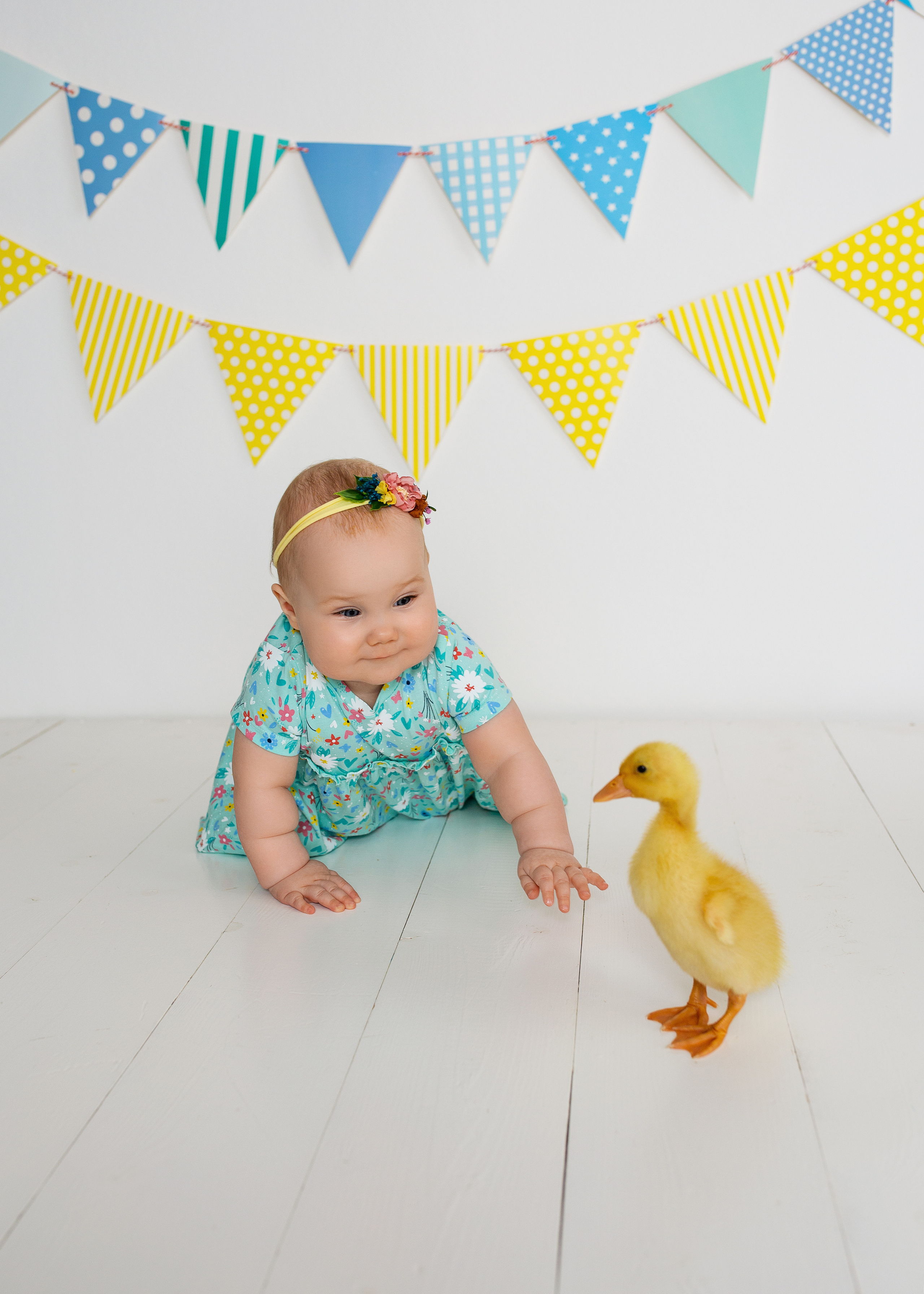 Тематические съёмки (7 мес. — 1,5 года)