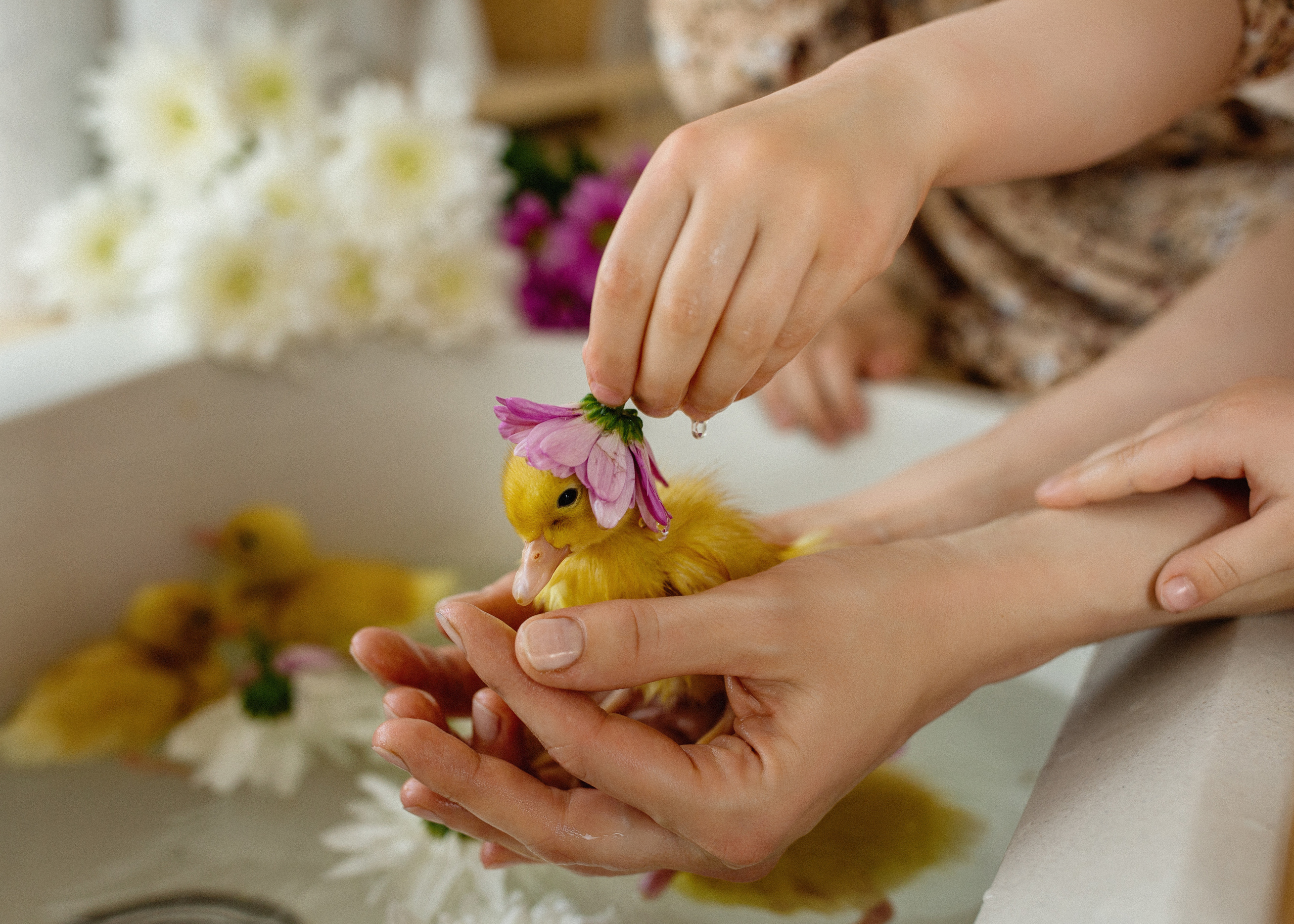 Съёмка в дачном стиле