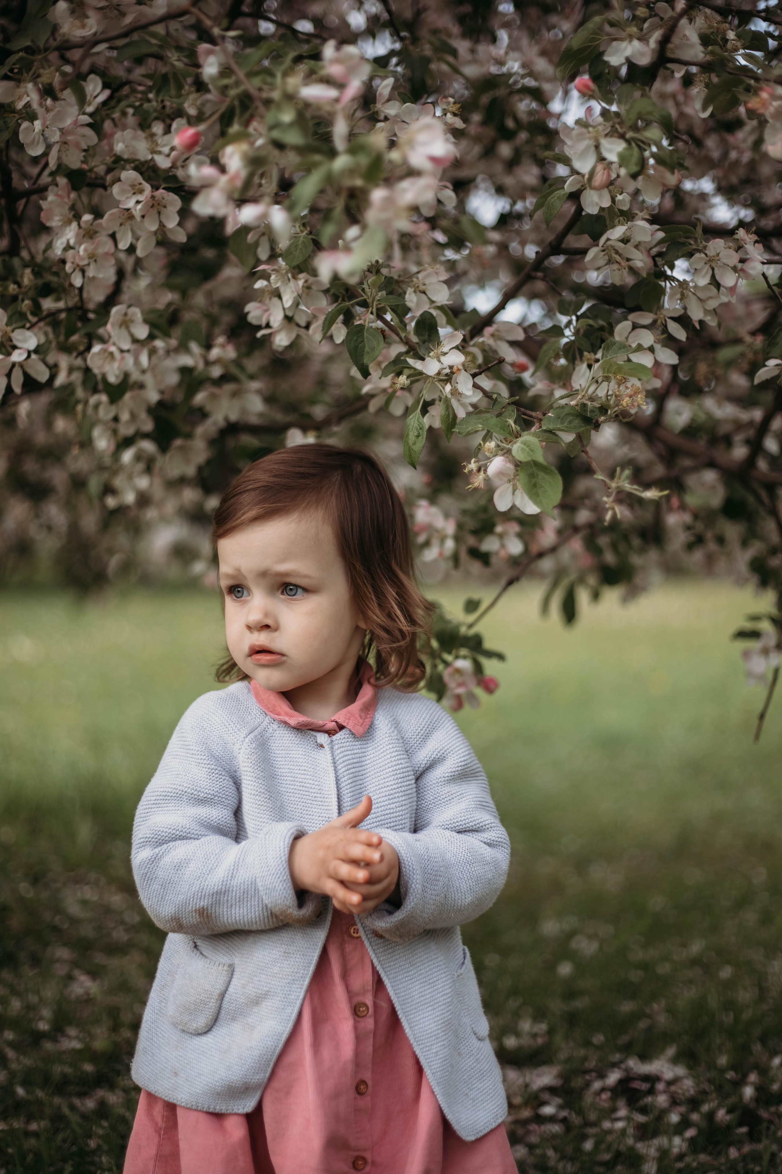 Яблони. Семейный и детский фотограф Минск, Беларусь