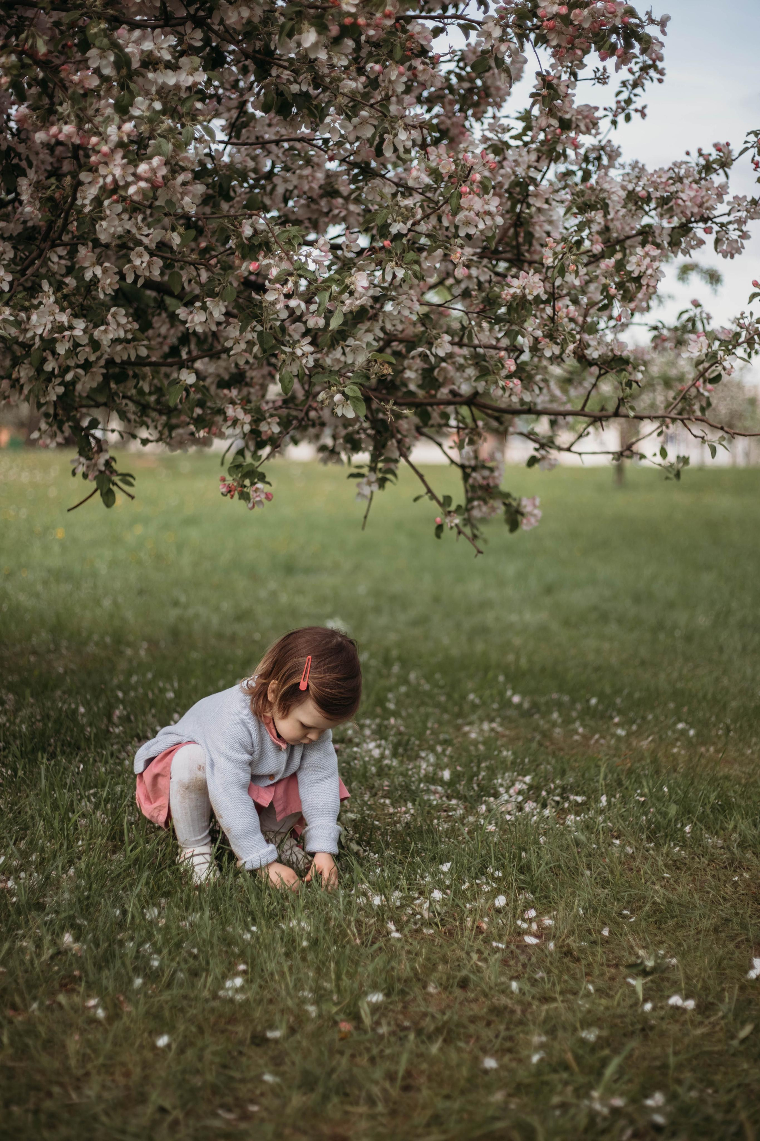 Яблони. Семейный и детский фотограф Минск, Беларусь